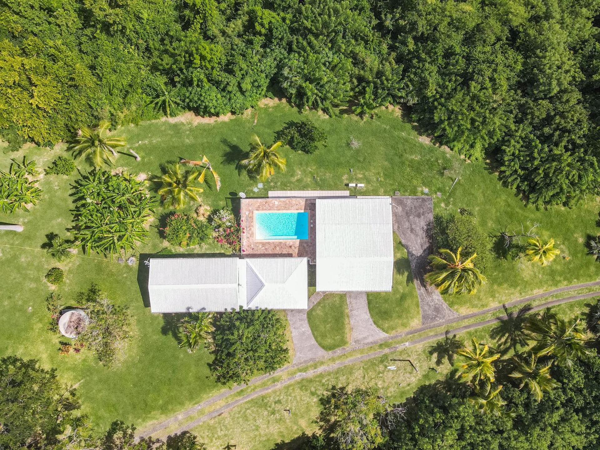 Villa Olga, photo 16
