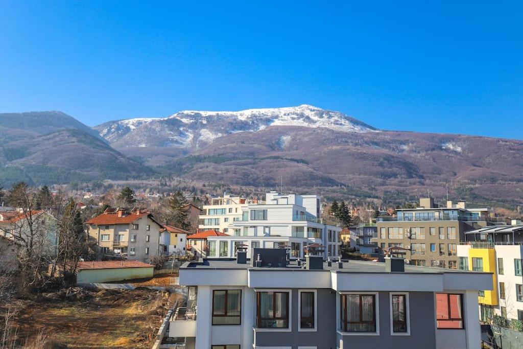 20% Discount! 2 Bedroom Apartment Vitosha View