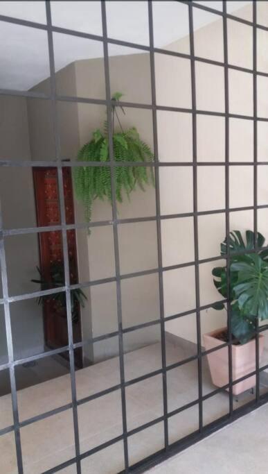 Casa Agradável, Arejada, Espaçosa, Perto de Tudo
