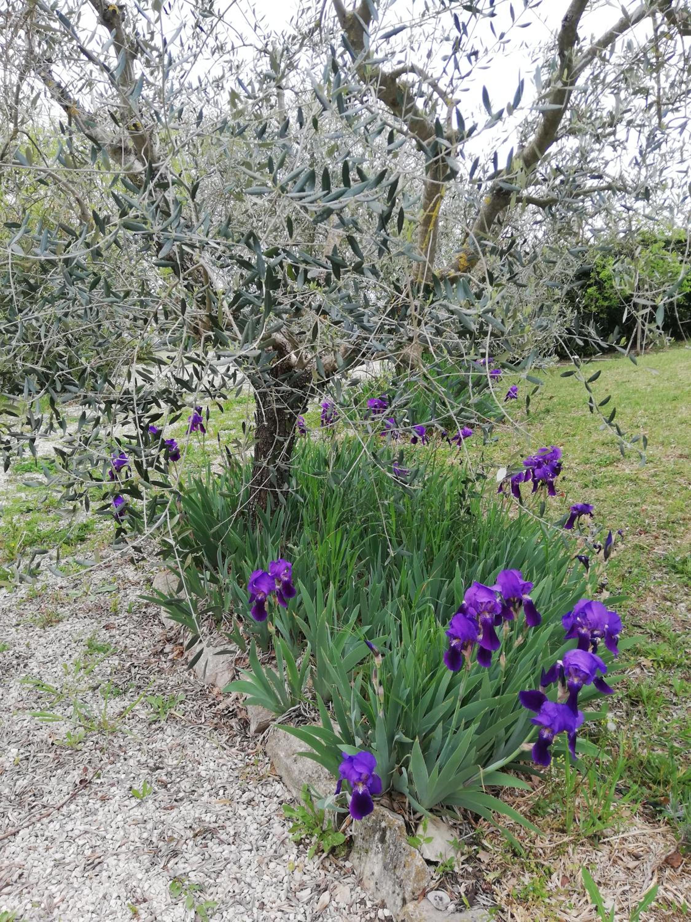 Photo 40