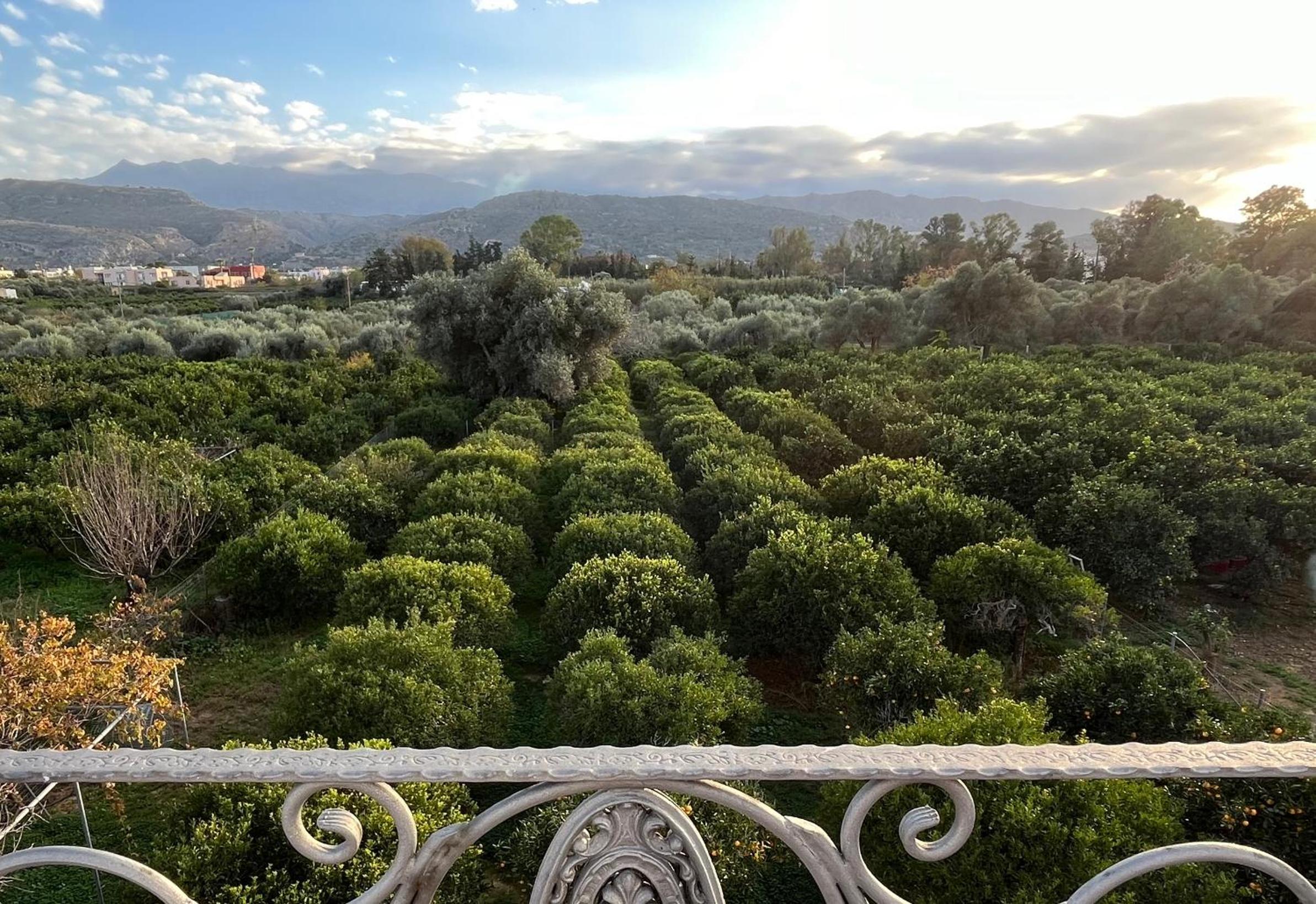 Verano Retreat