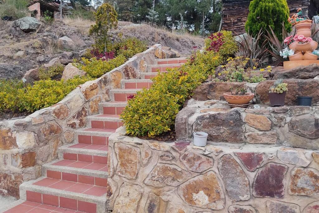 Finca La Sara