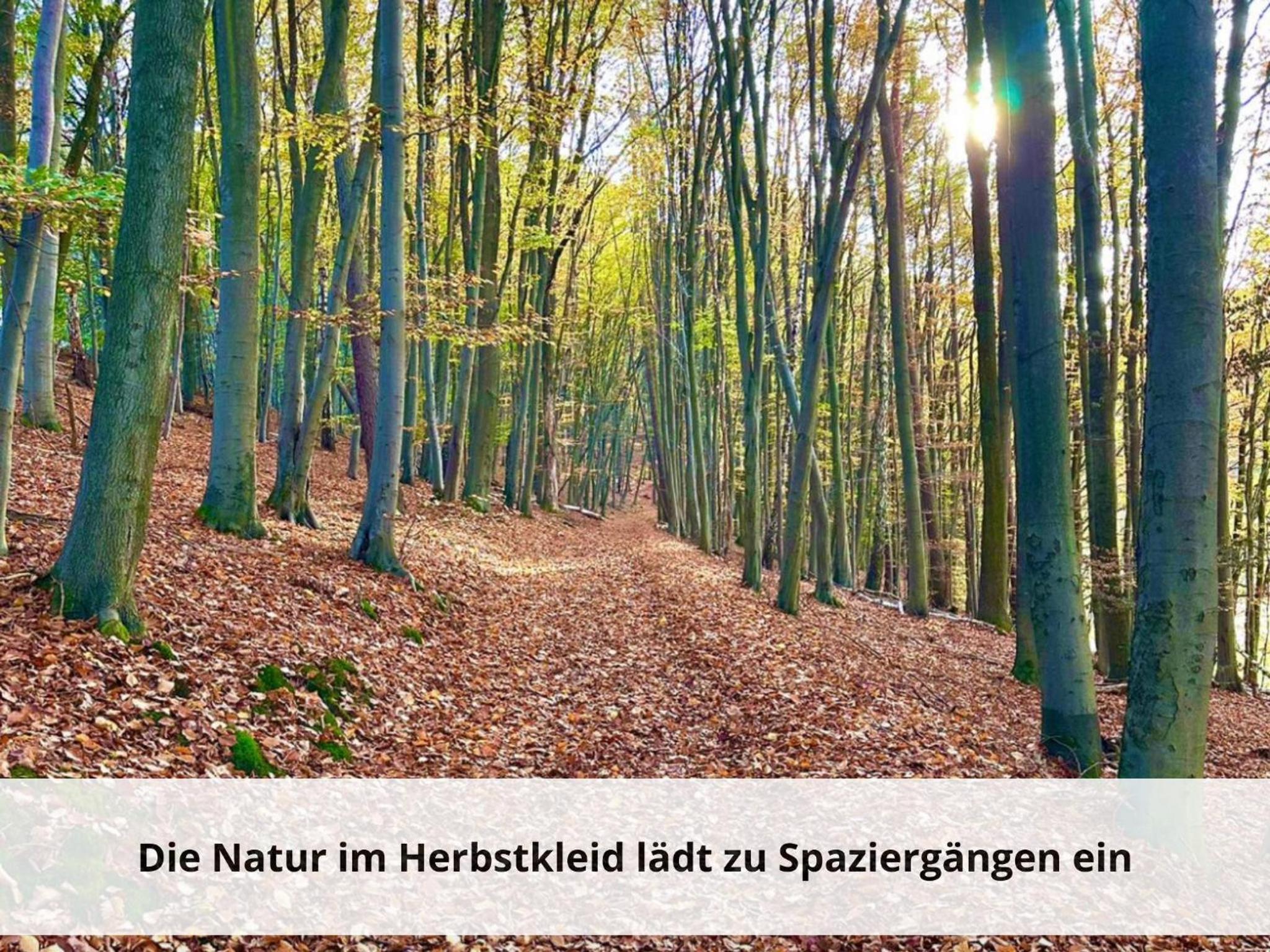 Ferienhaus-Heike-Dein-Urlaub-mit-Panoramablick