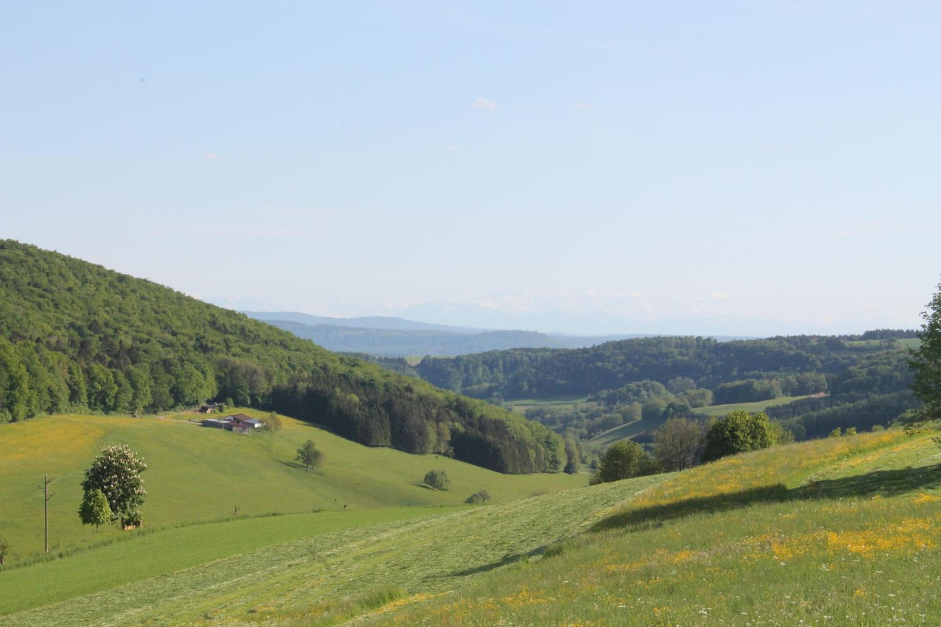 Ferienhaus Aschoff