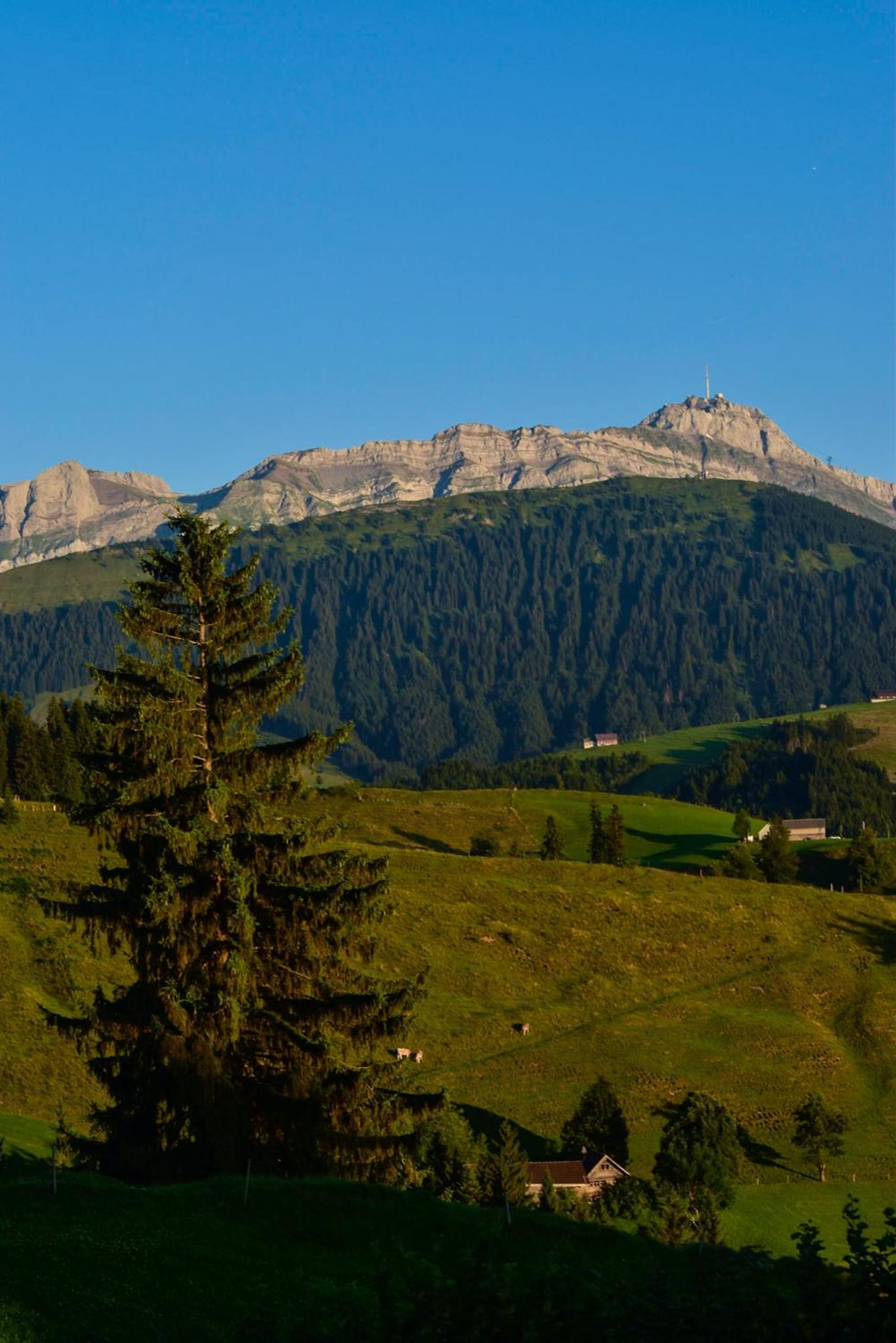 Ferienwohnung in Bühler nähe Appenzell