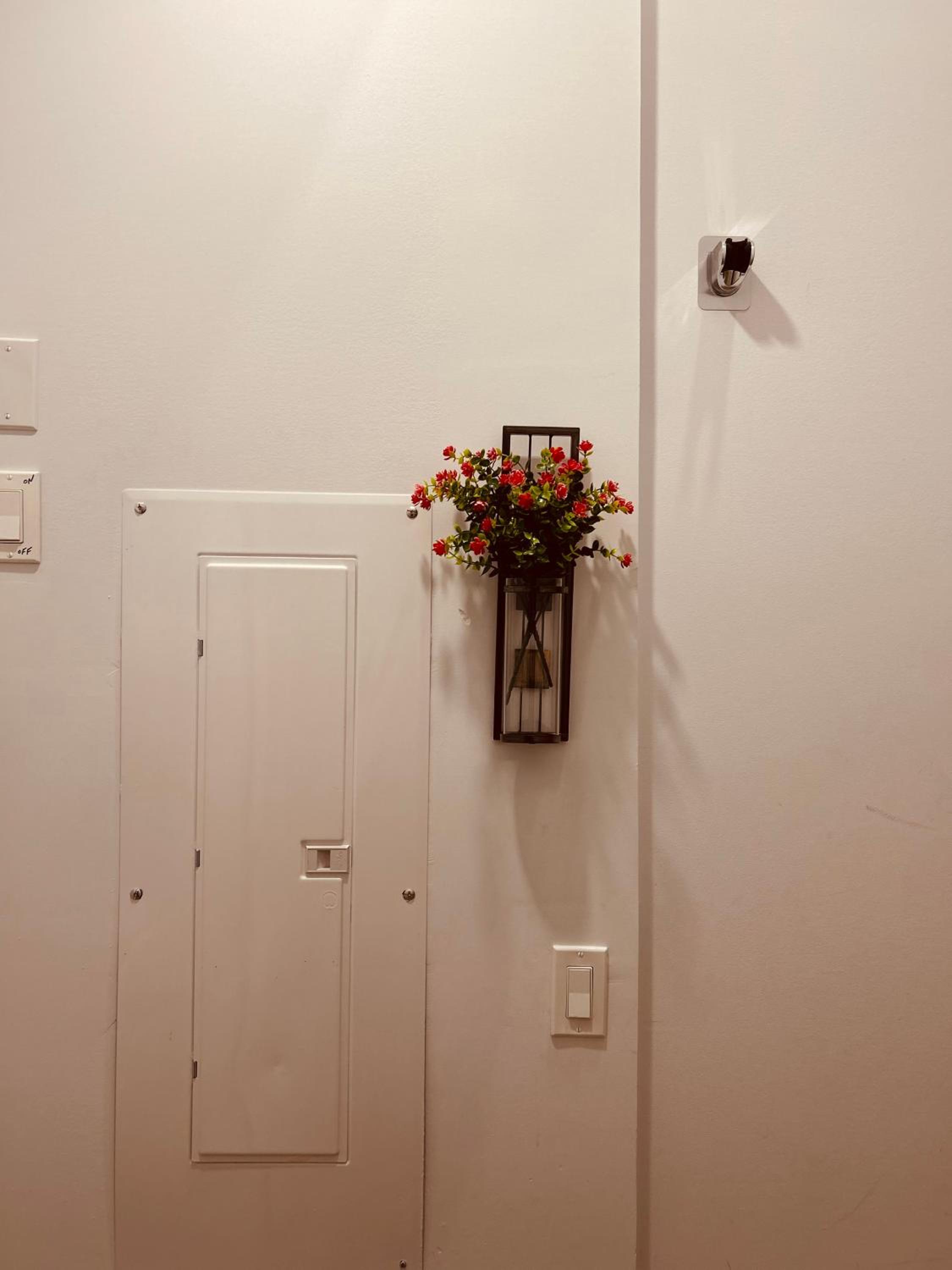 Sweet home
