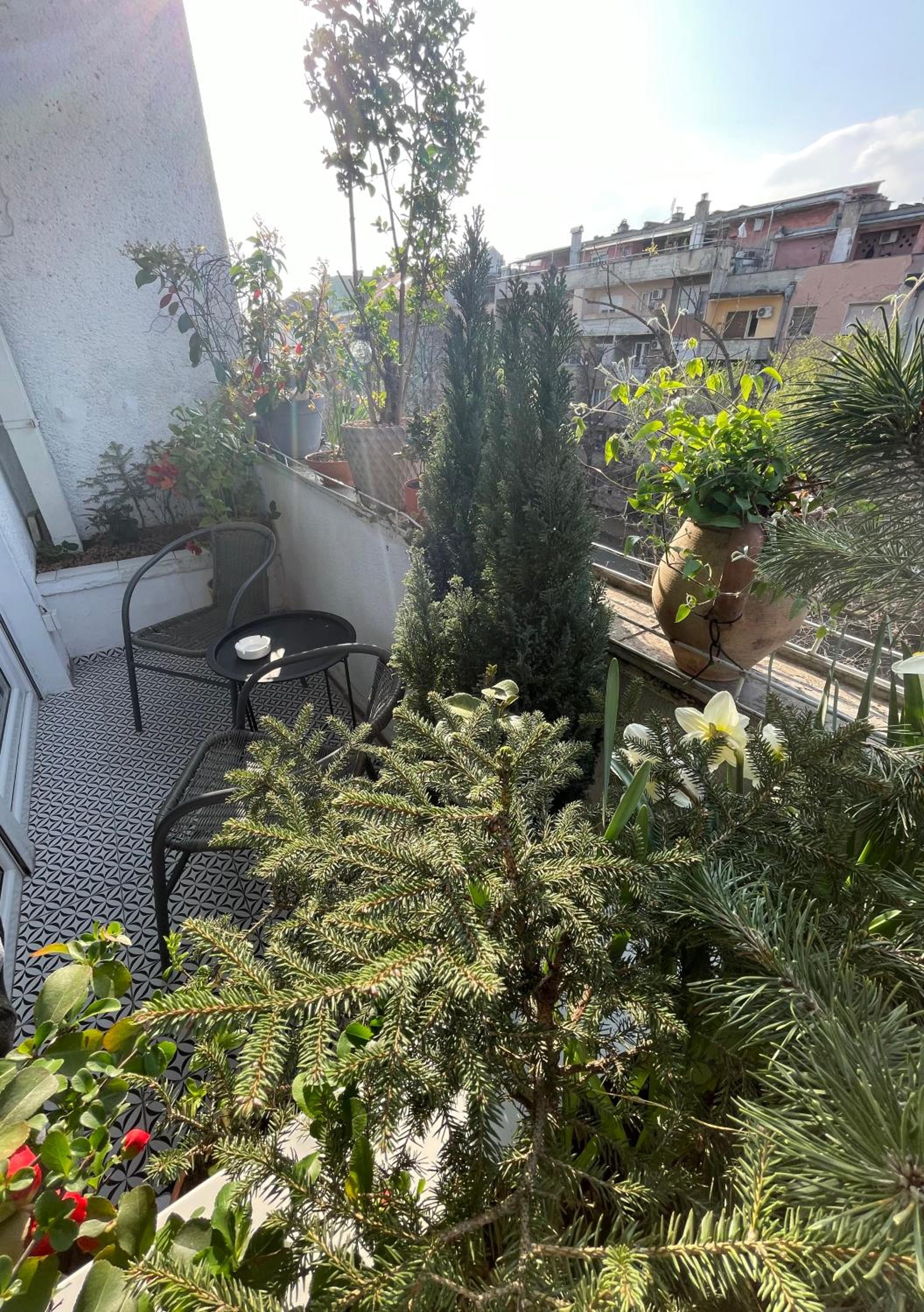Apartman Avenia