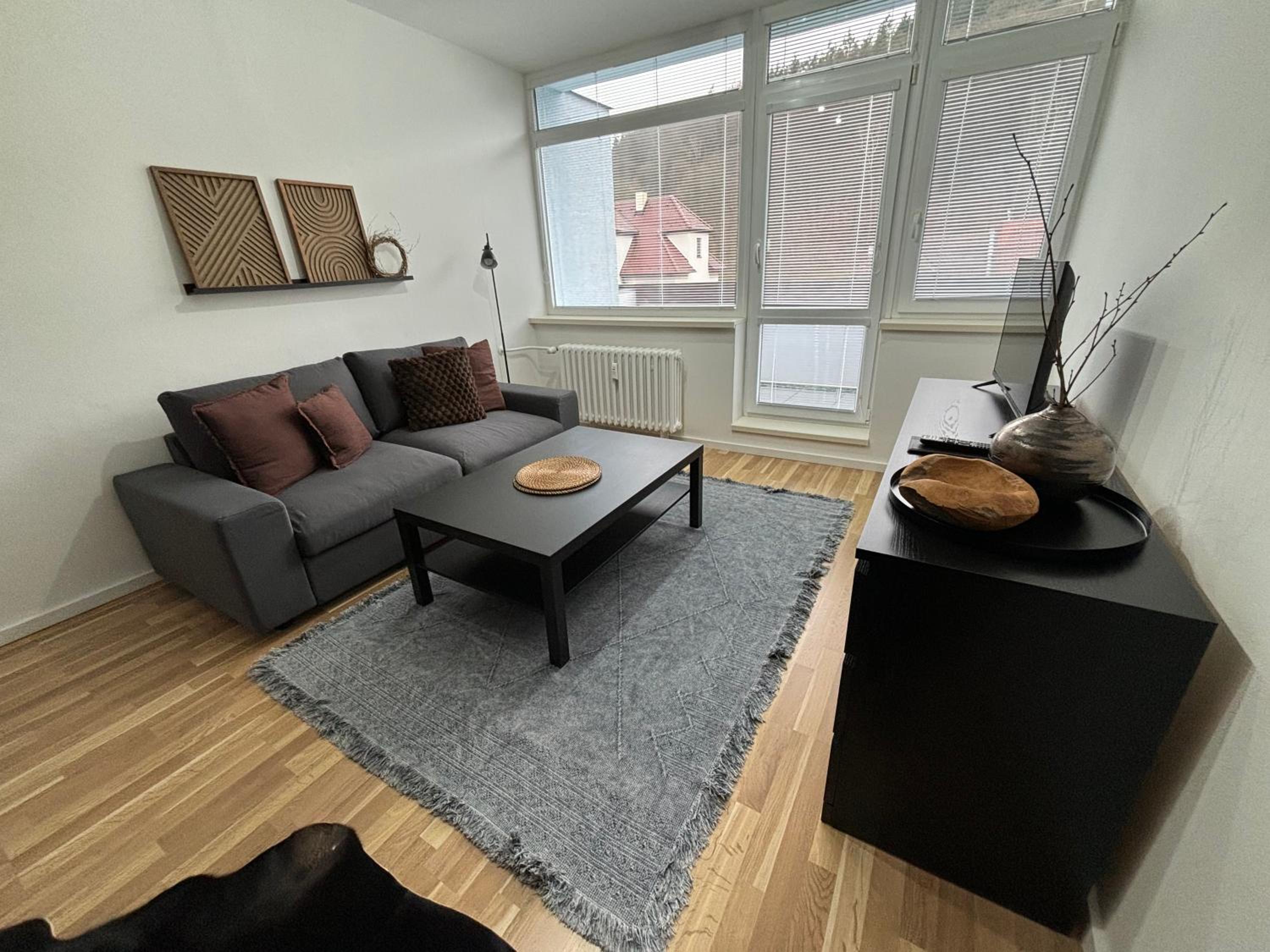 Apartmán Luhačovice III.