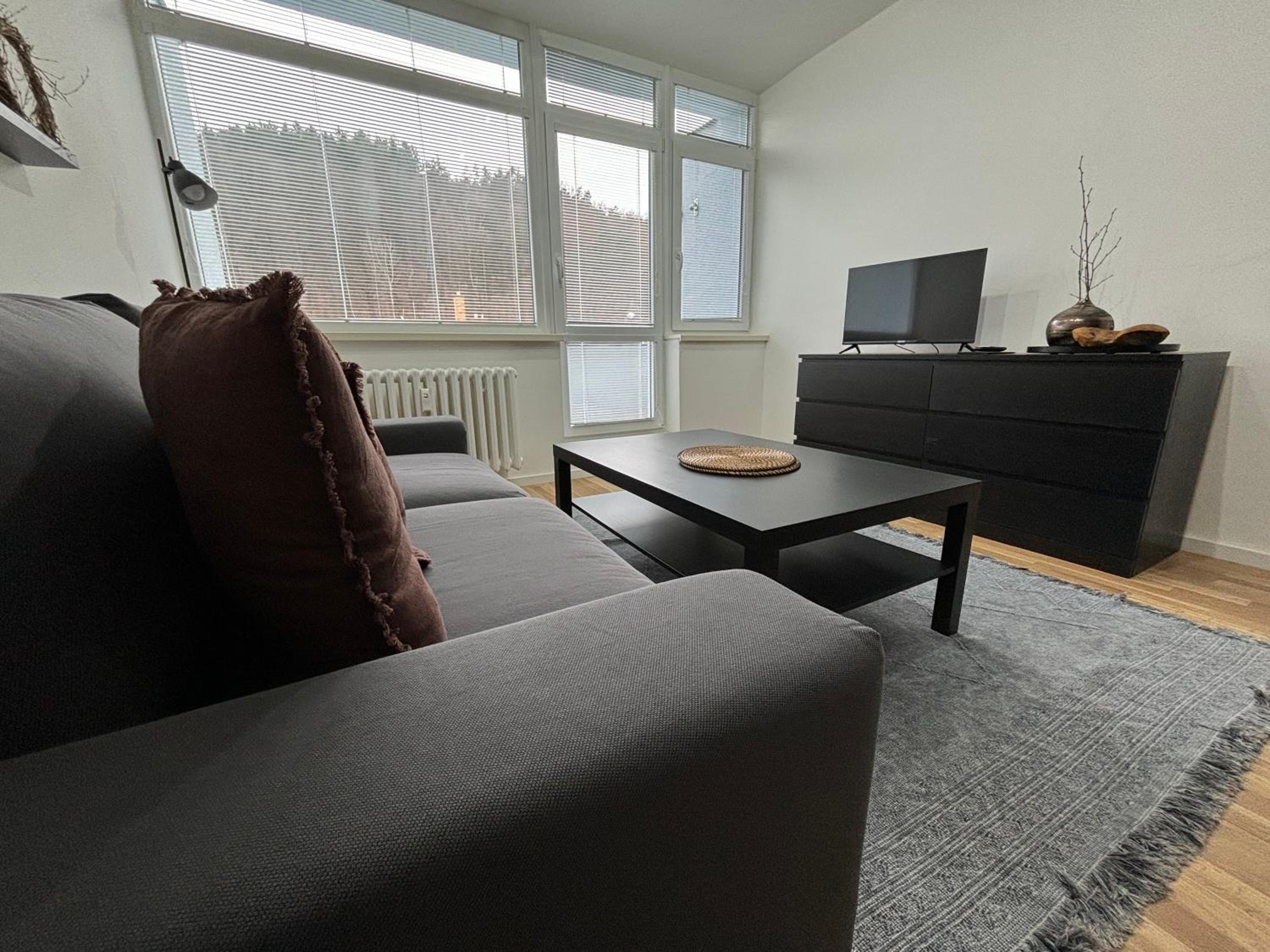 Apartmán Luhačovice III.