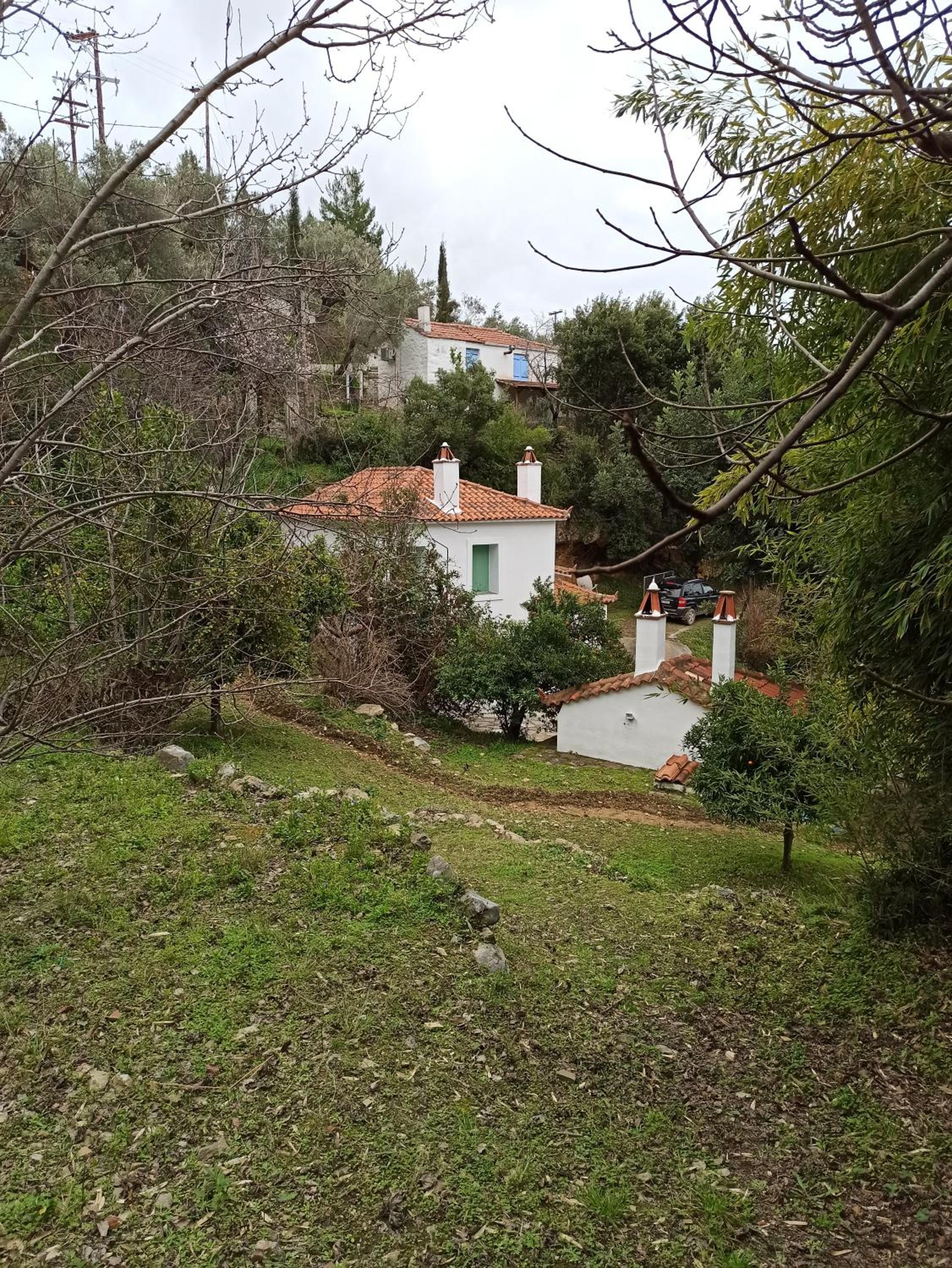 Photo 26