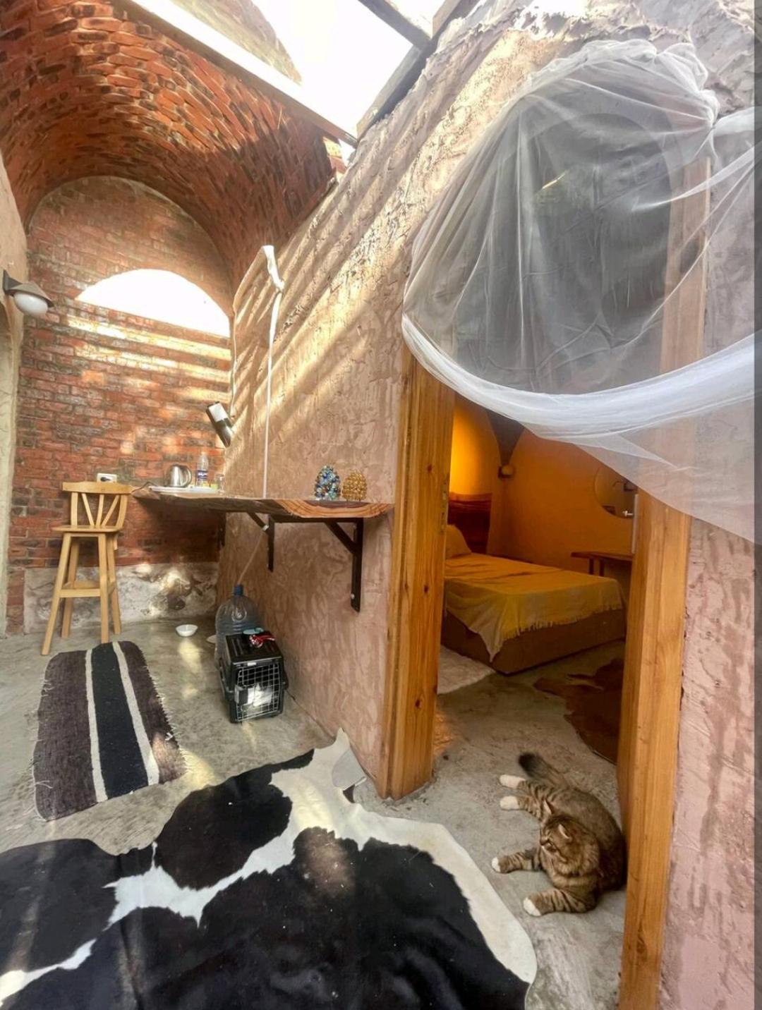 The dome house
