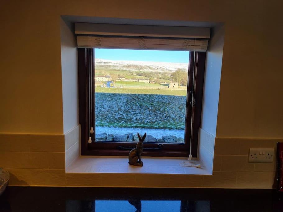 Meadow View view 5