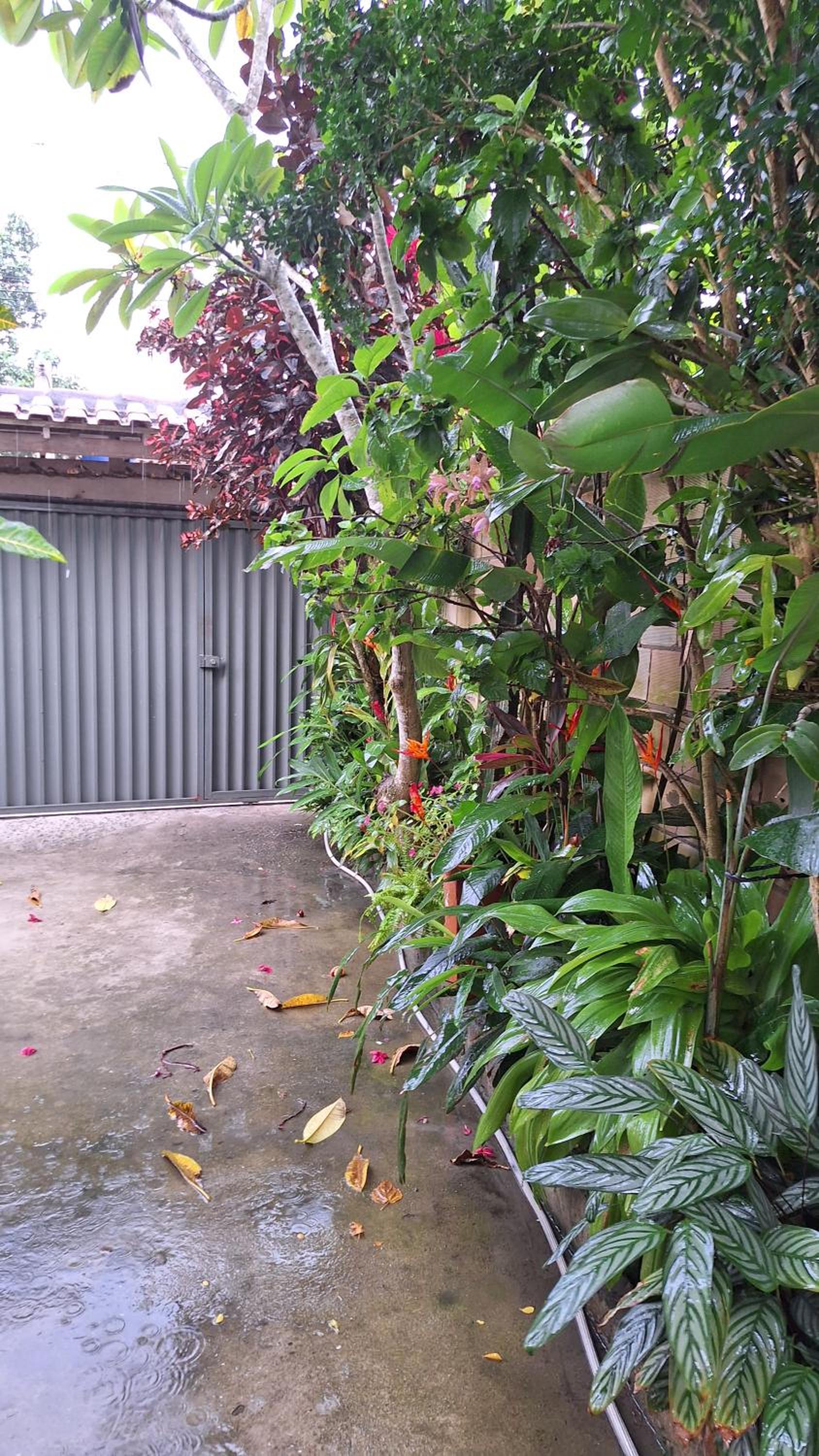 Casa com jardim