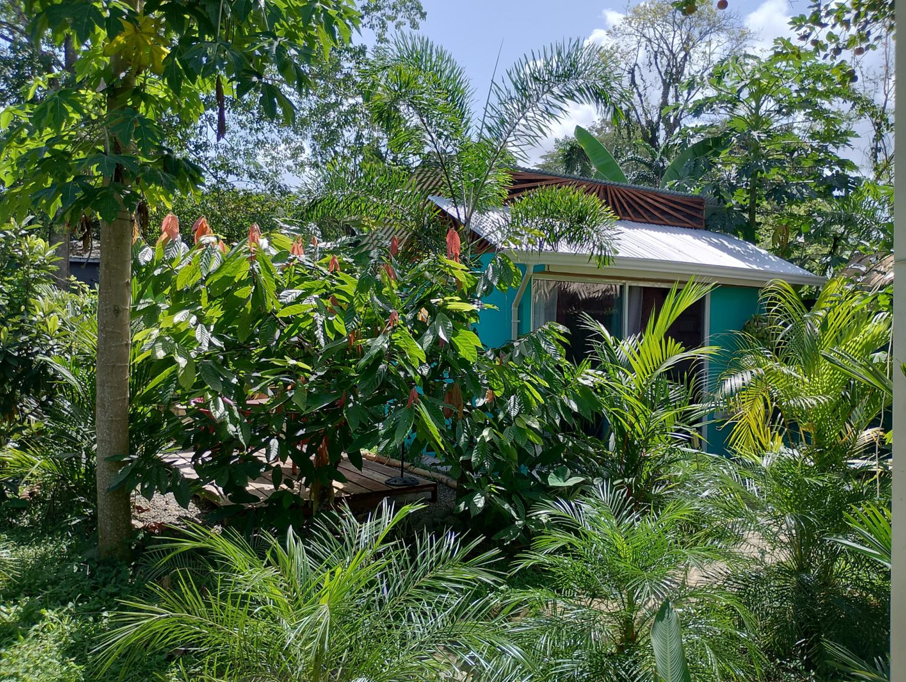 El Tucan Feliz - Boho Jungle Tiny Guest House & Mini Pool Oasis