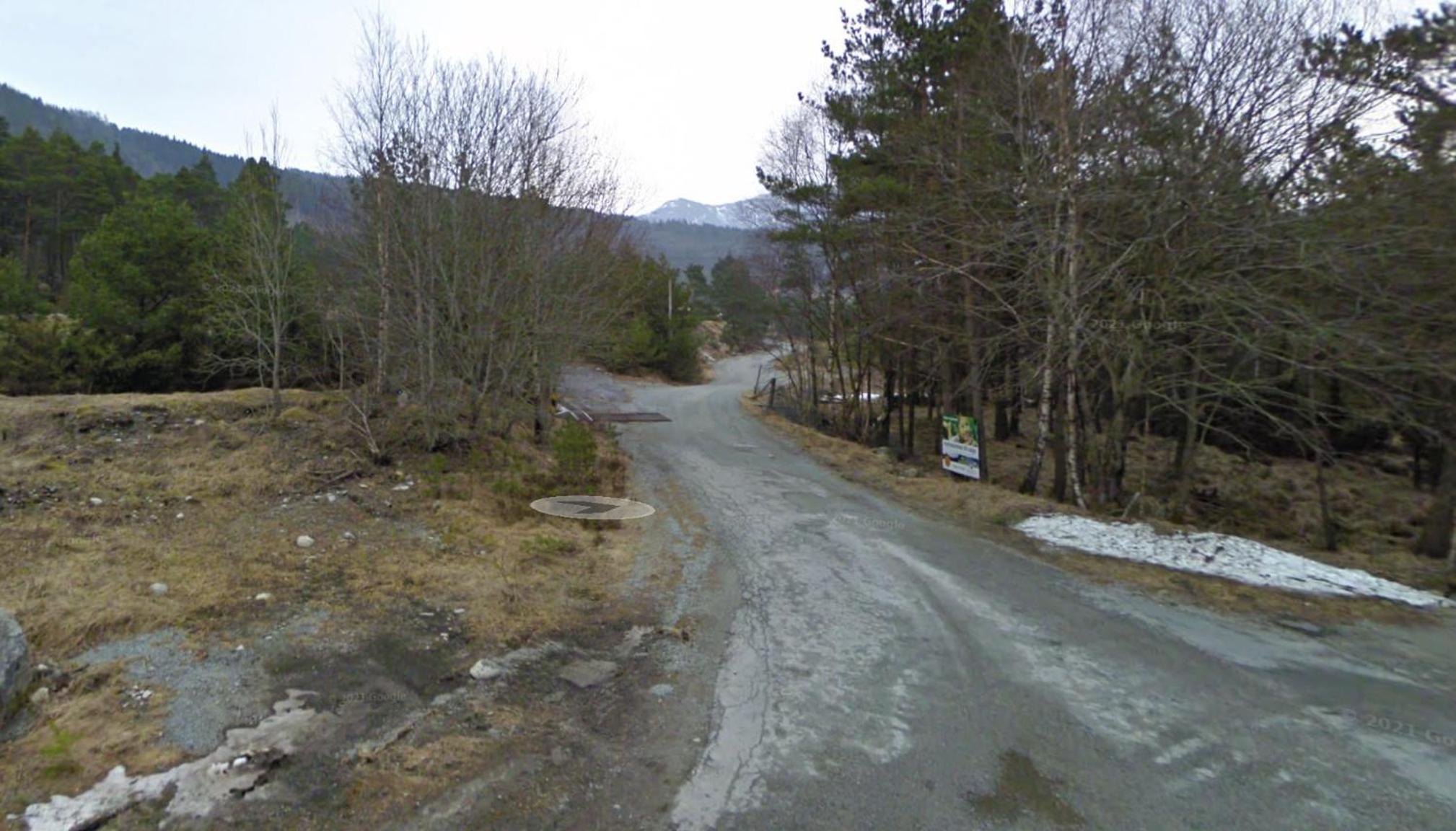 Photo 41