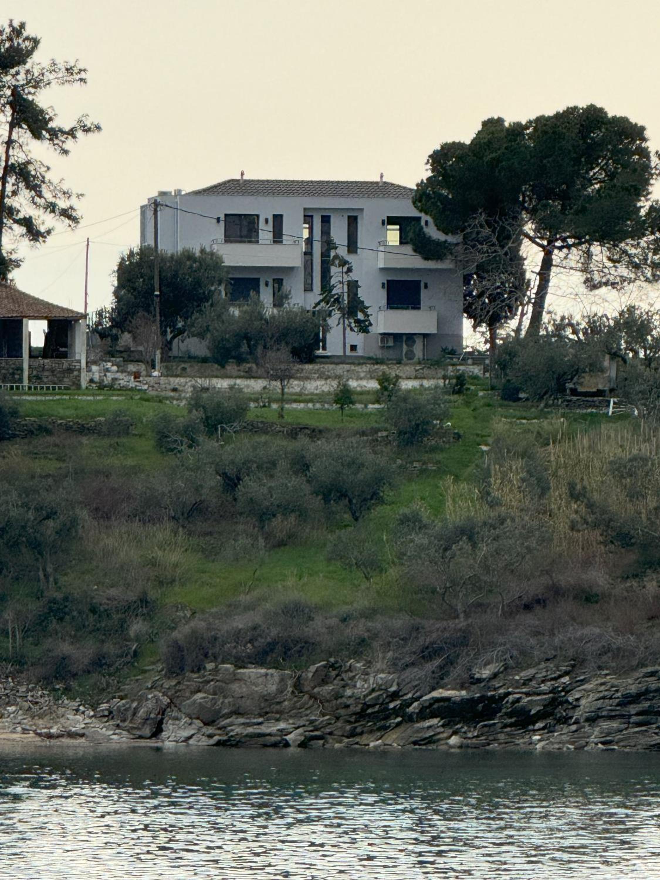 Acra Melia