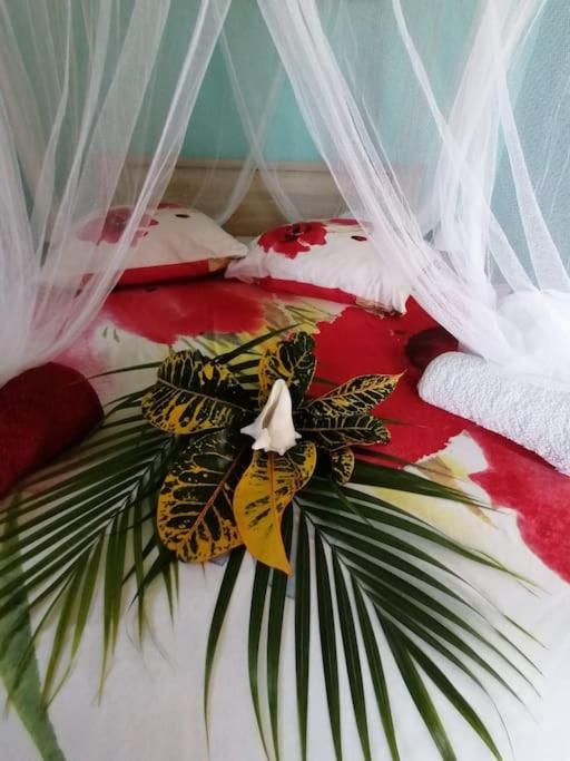 Sympathique appartement, les pieds dans l'eau