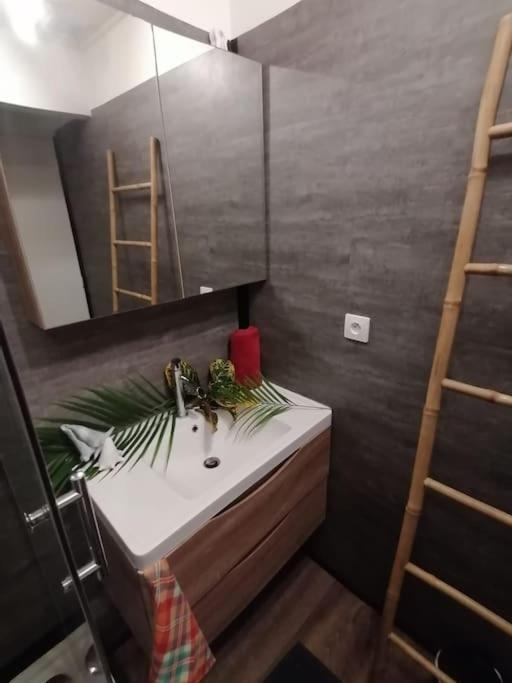 Sympathique appartement, les pieds dans l'eau
