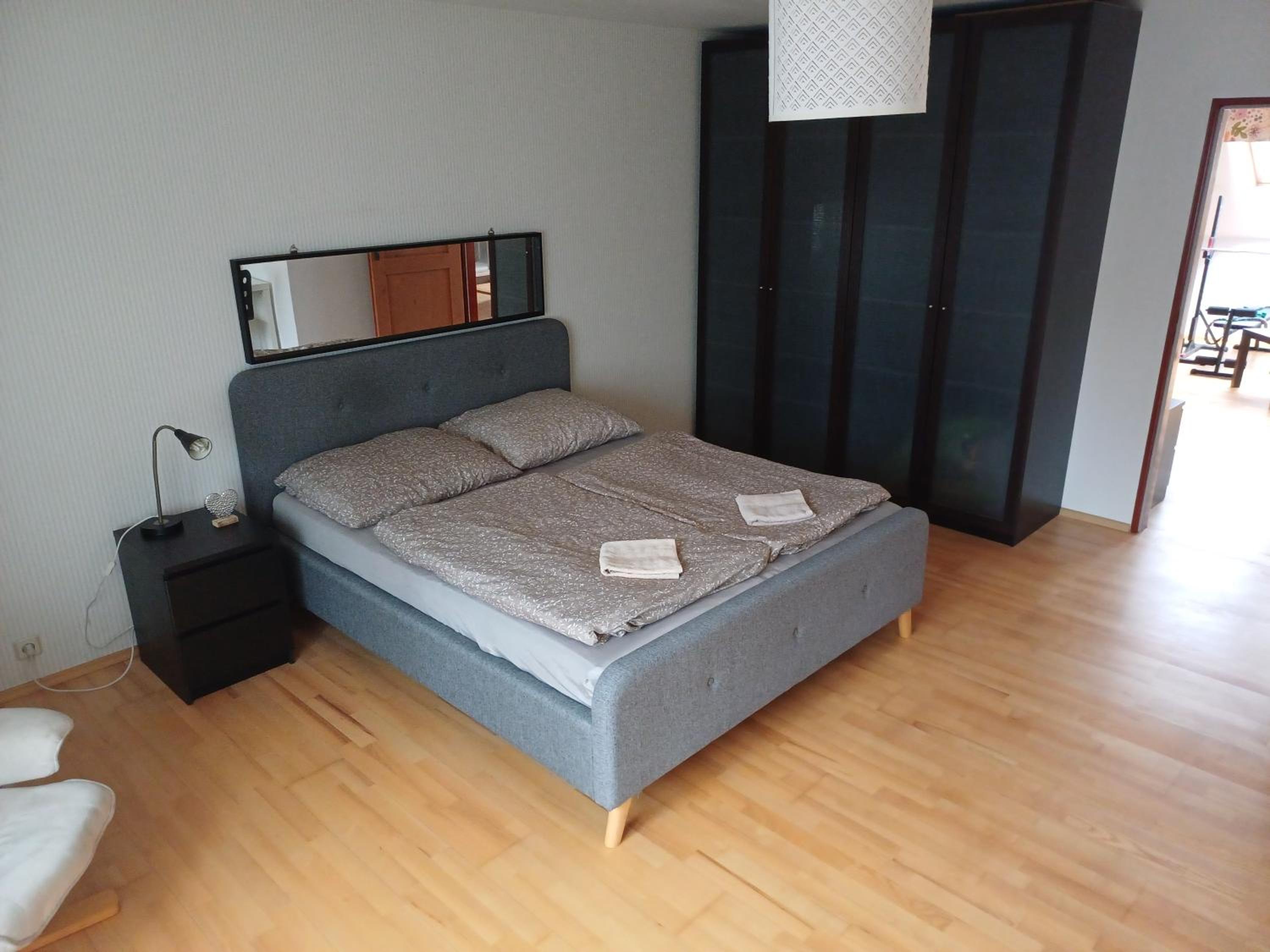 Apartmán Dvořák 194 pod Svatou horou, photo 12
