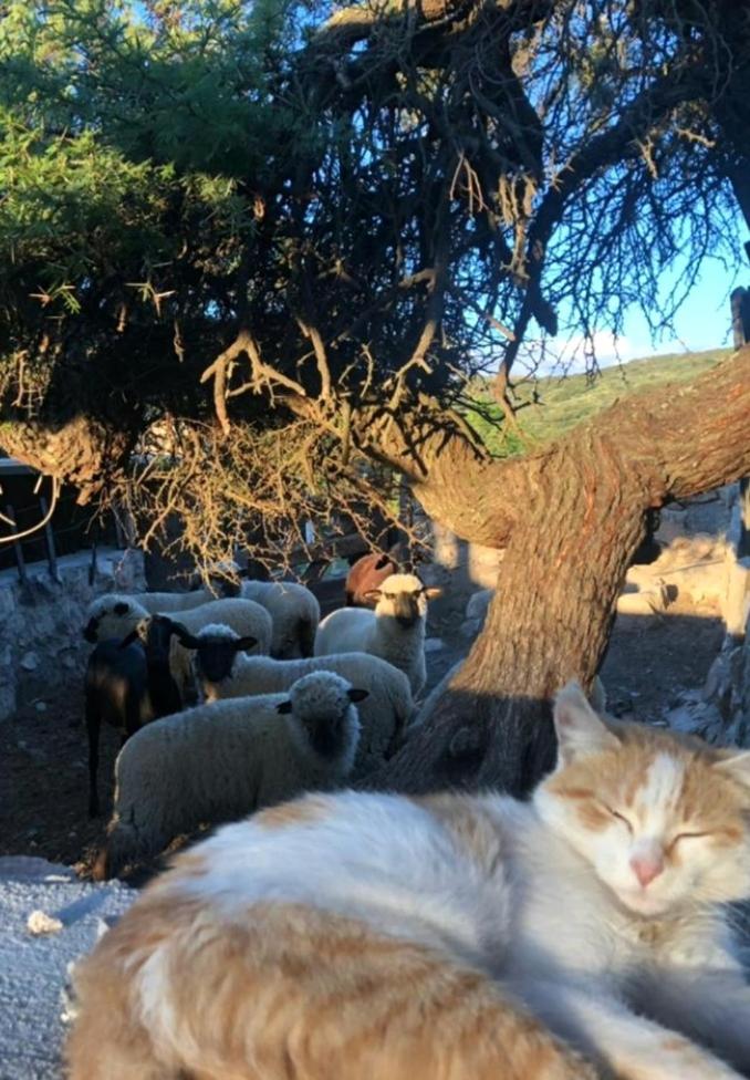 Establecimiento La Soleada suites de campo