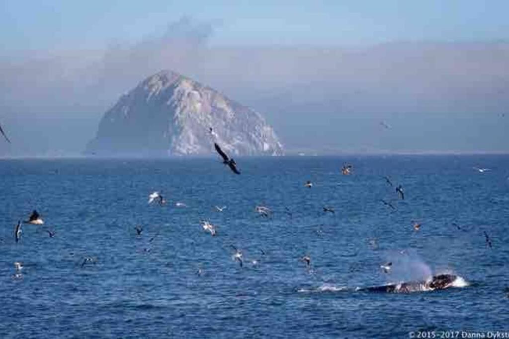 Pelican Place in Morro Bay