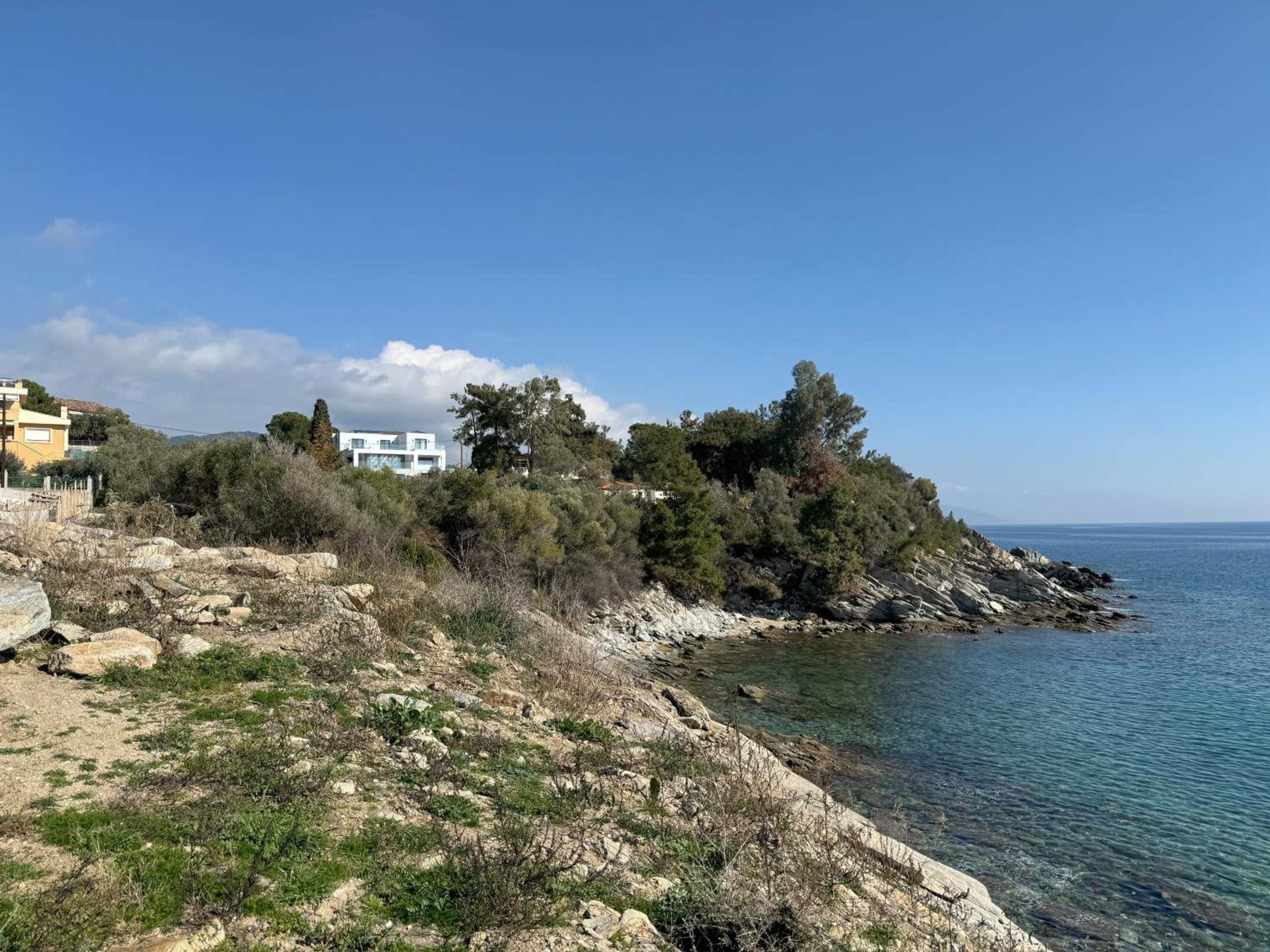 Acra Melia