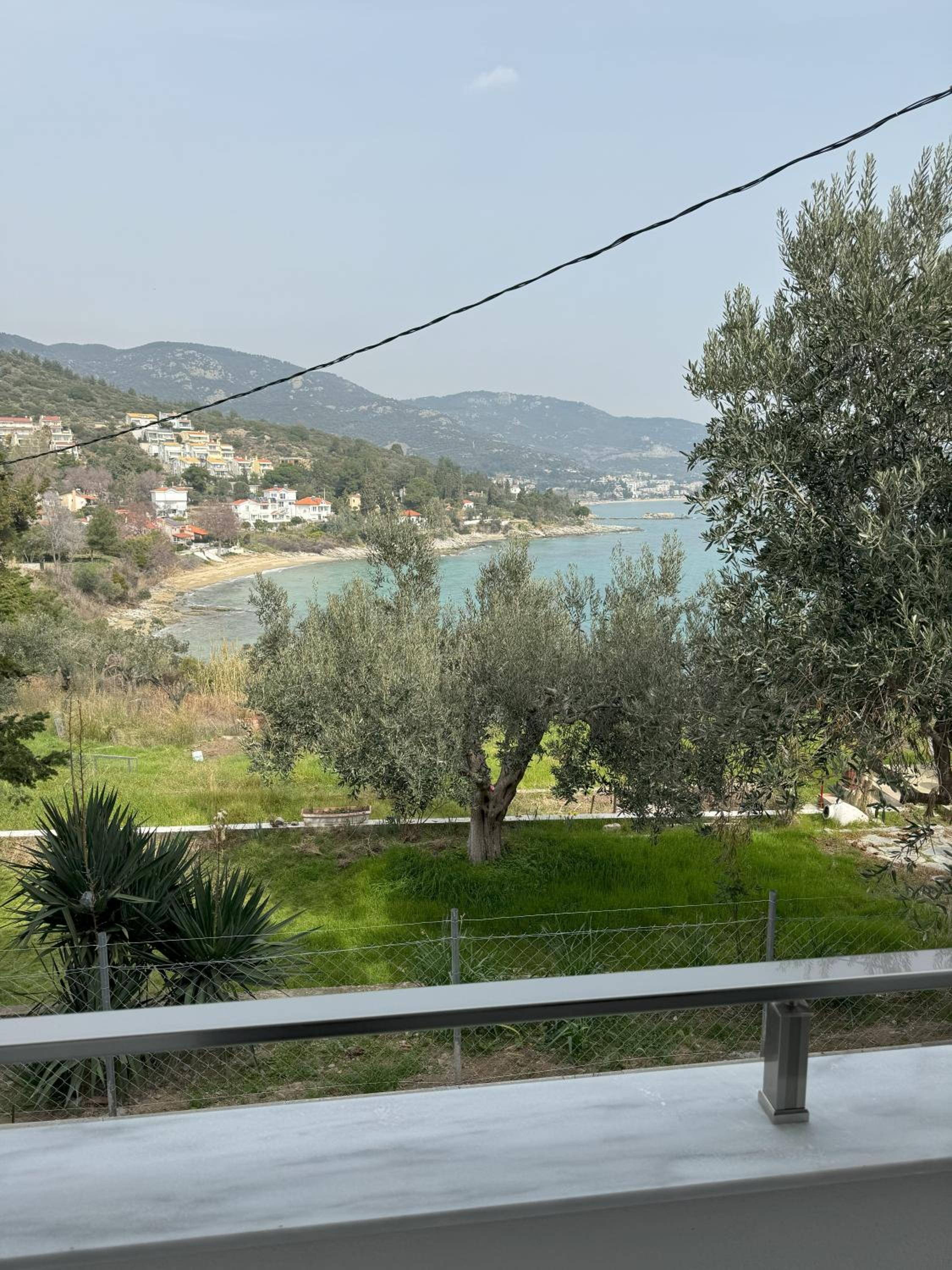 Acra Melia