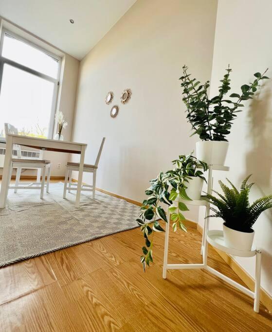 Charmant petit appartement.