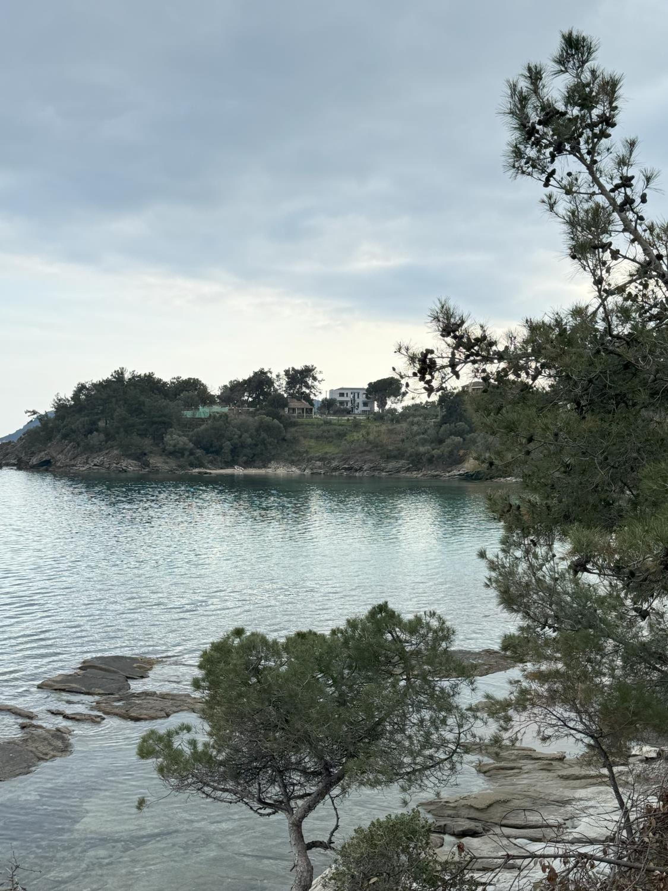 Acra Melia