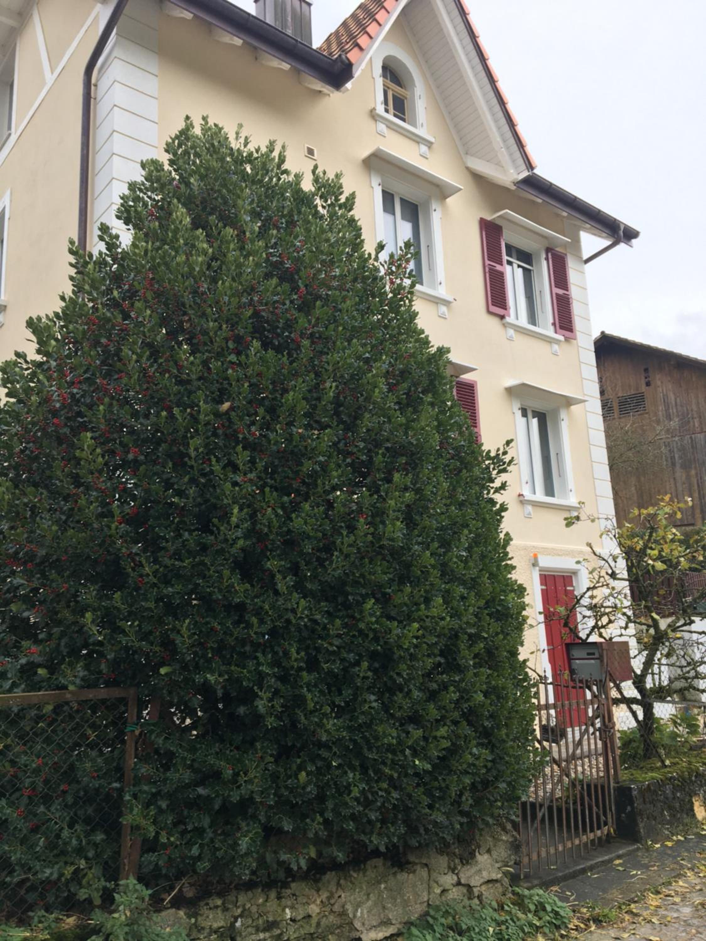 Le Houx