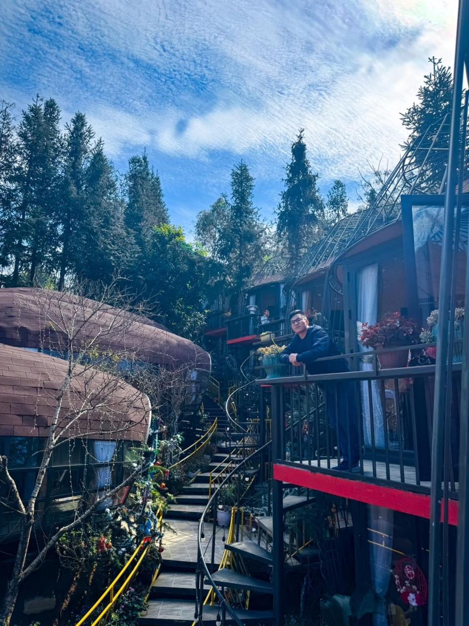 Plum Hillside Lodge view 2
