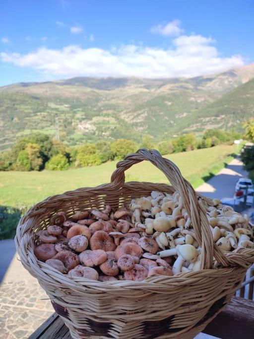 APARTAMENTO EN LA VALL FOSCA