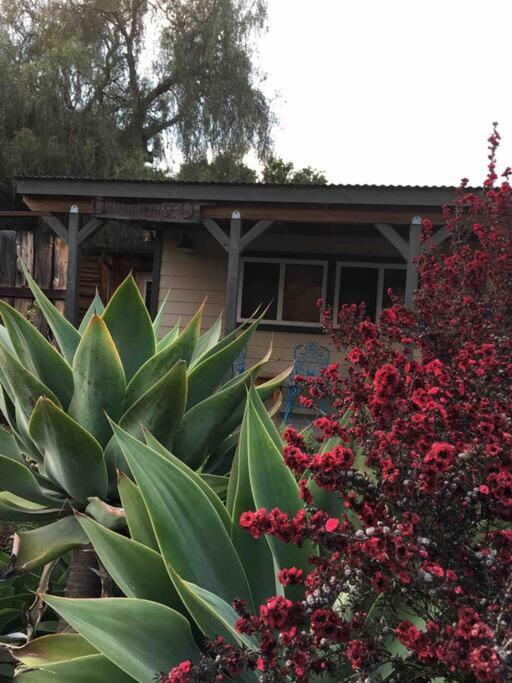 Pacific Coast Hwy Bunkhouse in San Luis Obispo view 3