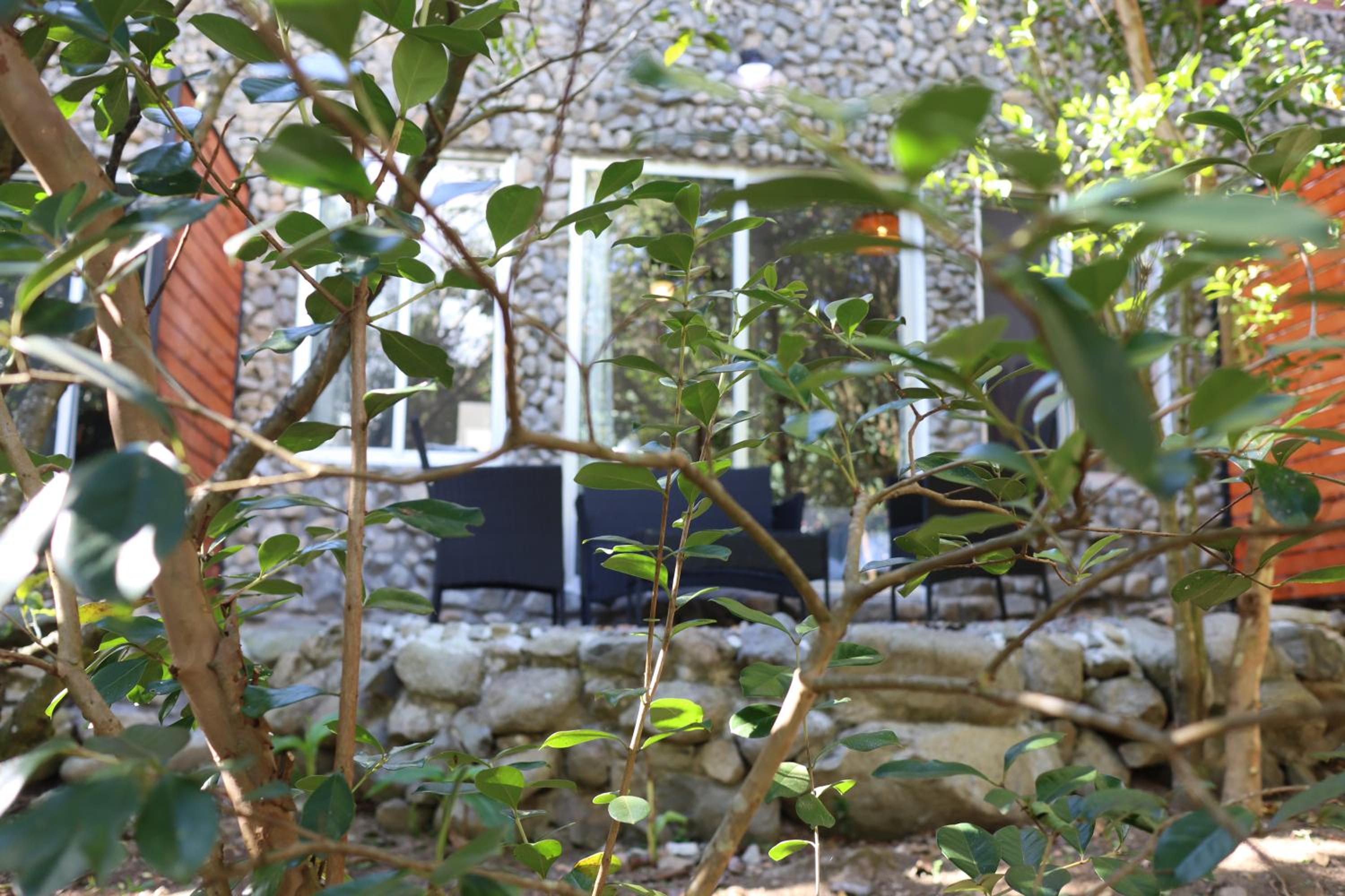 Boquete Firefly Inn view 2