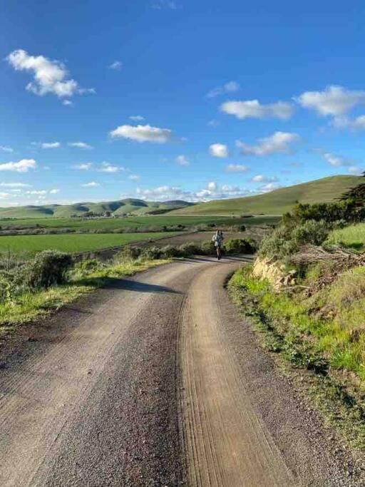 Pacific Coast Highway Milkhouse