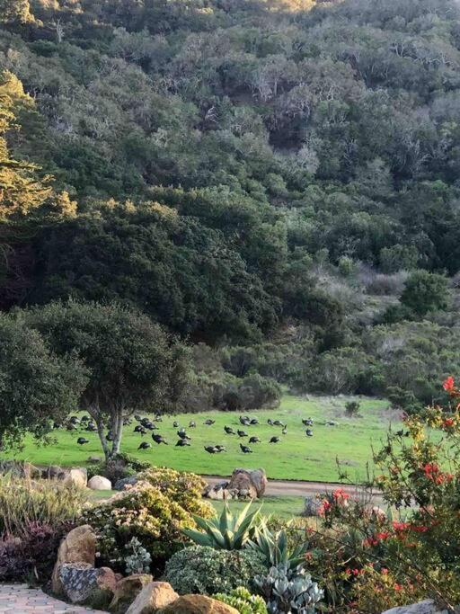 Pacific Coast Highway Milkhouse