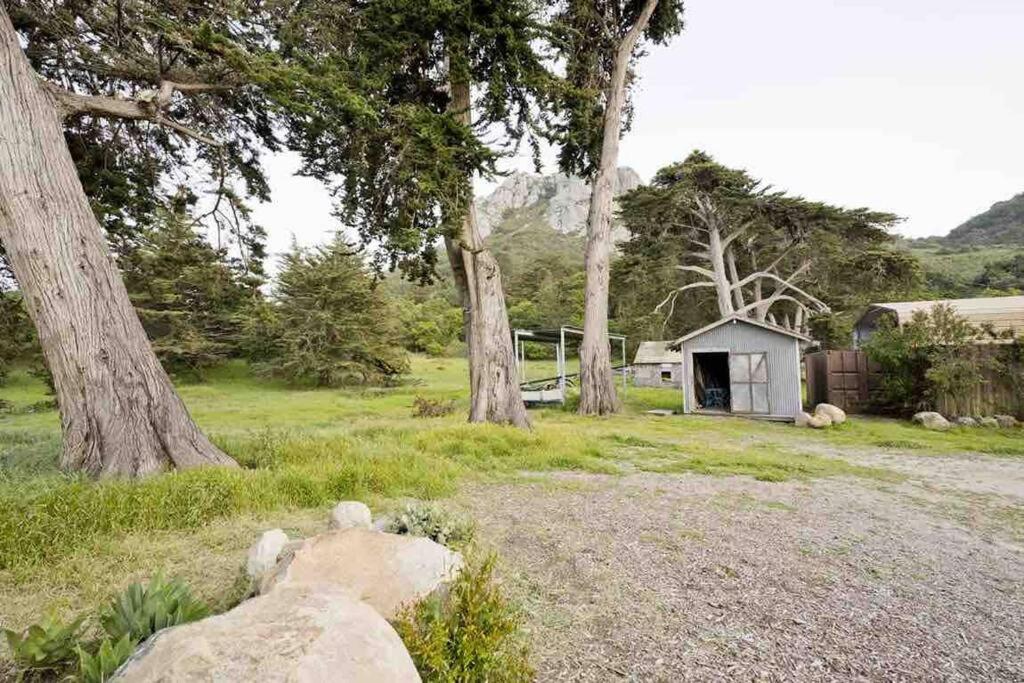 Pacific Coast Highway Milkhouse