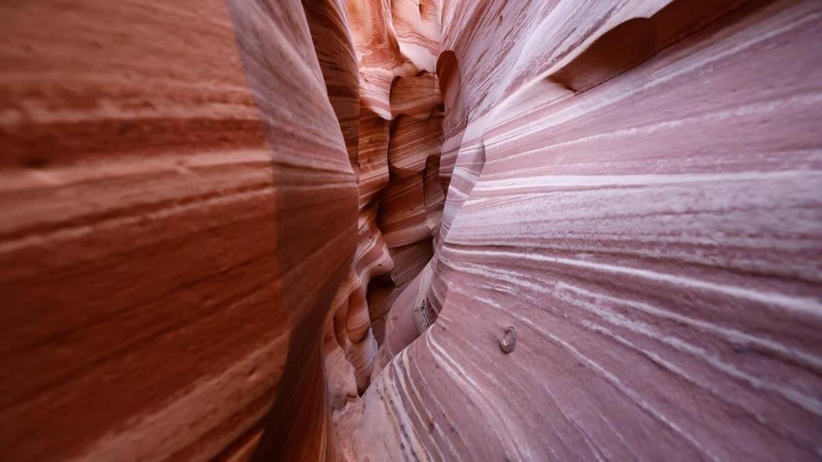 Escalante Escapes Fox Tail- Loft Escape