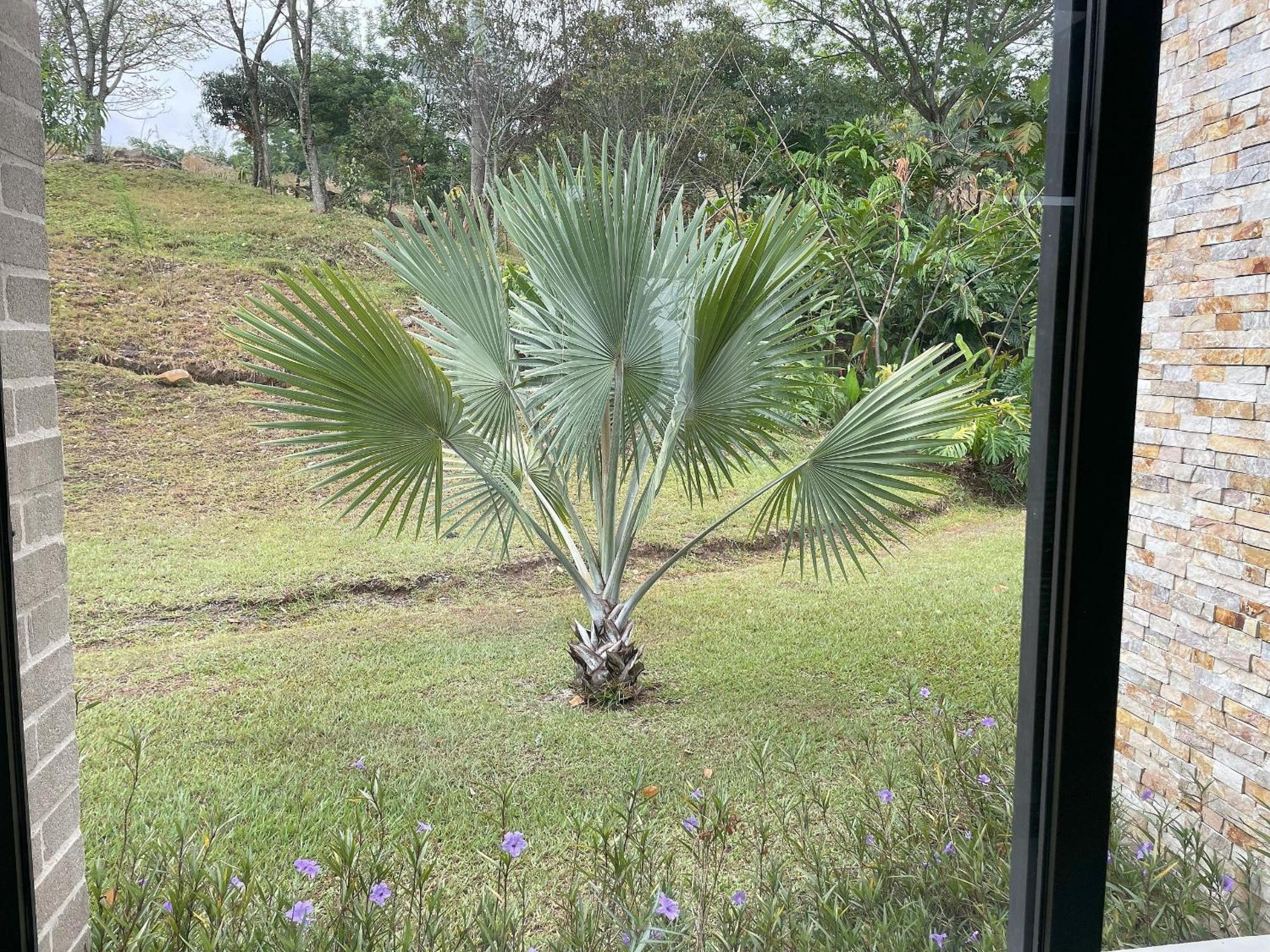 Finca Los Polines en Tarso