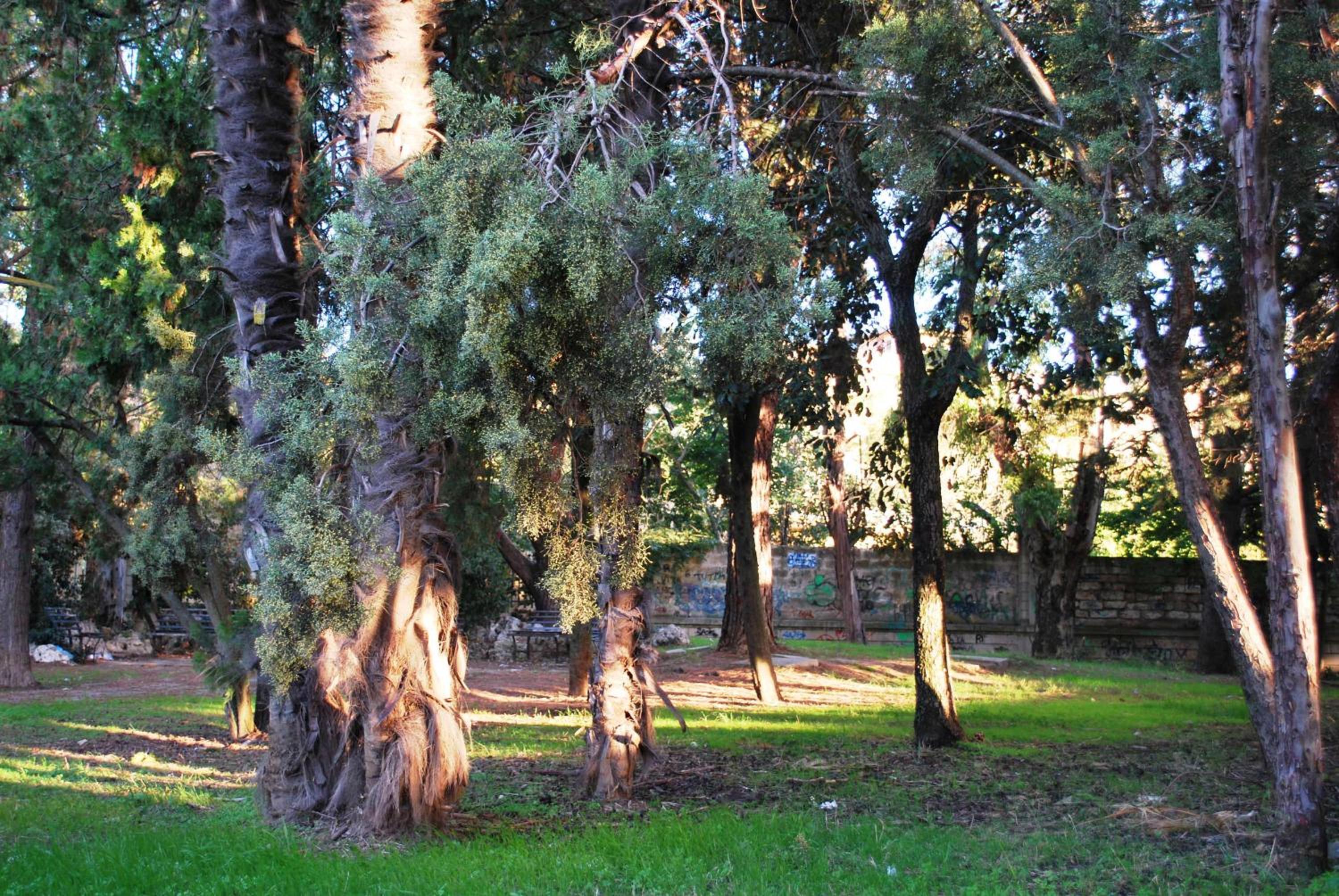 Photo 7