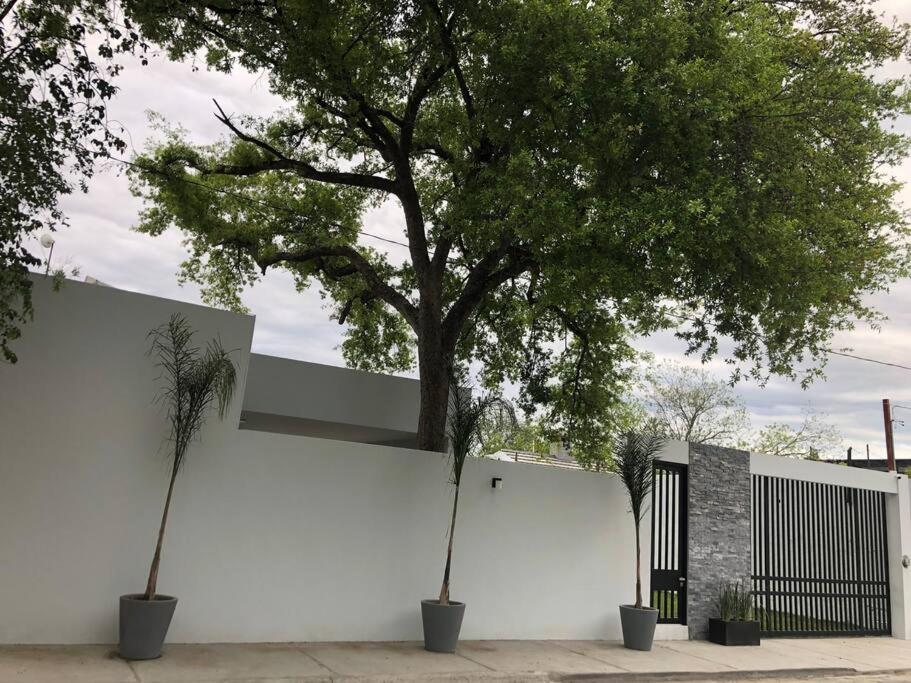 Quinta Felinos