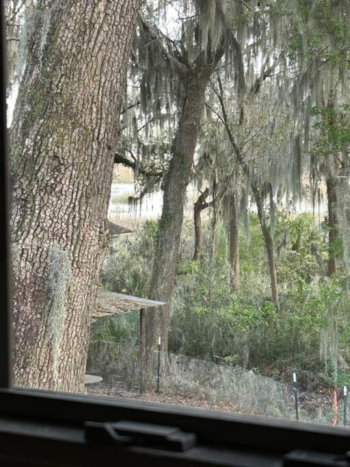 Marsh Apartment