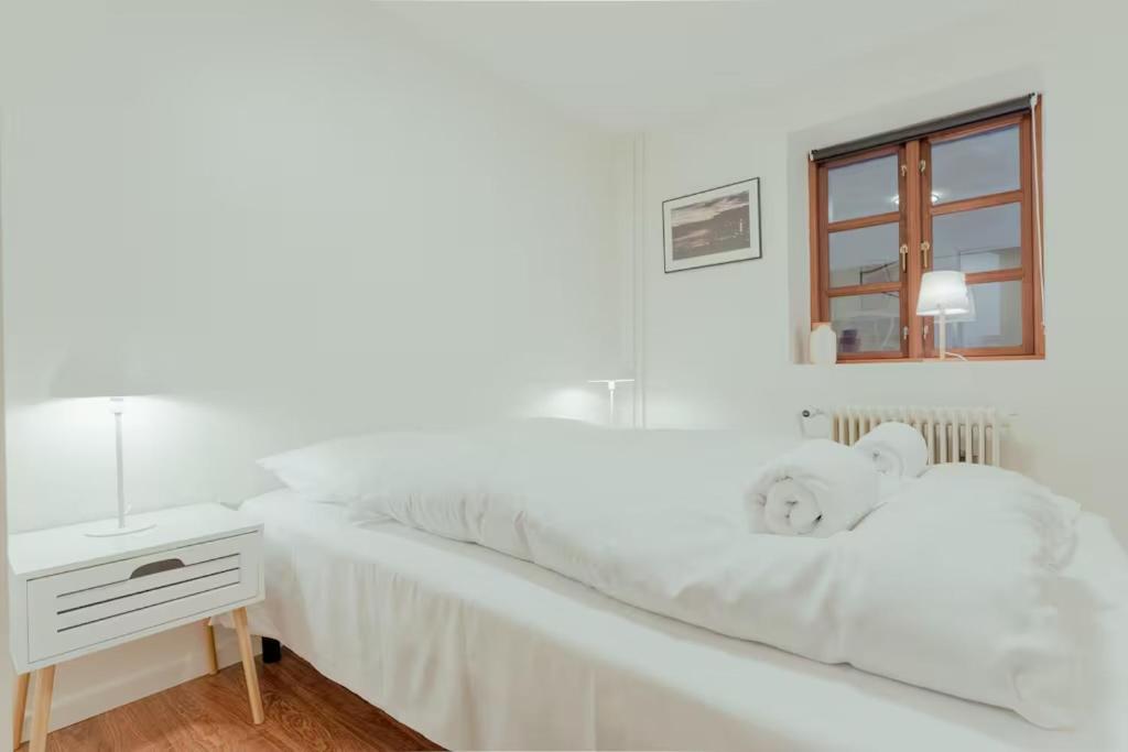 3 bedroom apartment downtown Tórshavn