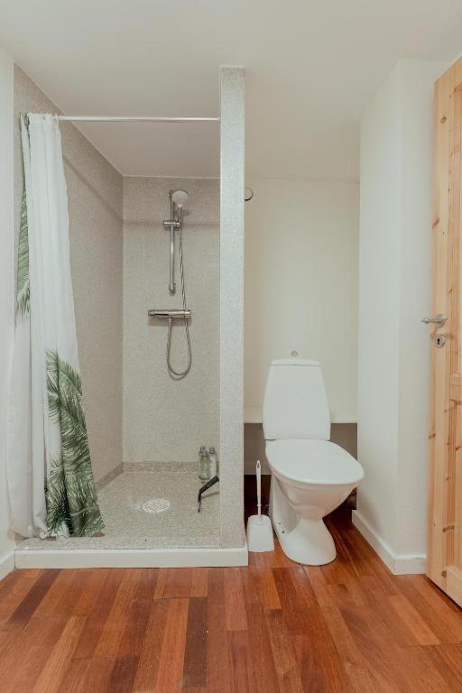 3 bedroom apartment downtown Tórshavn