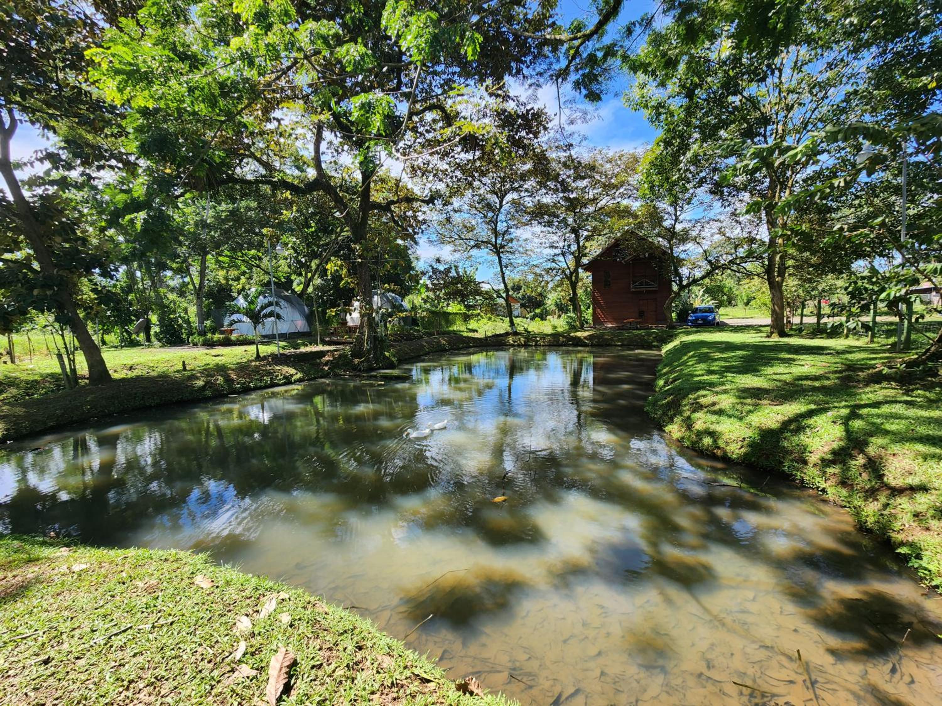 Cabaña del Lago
