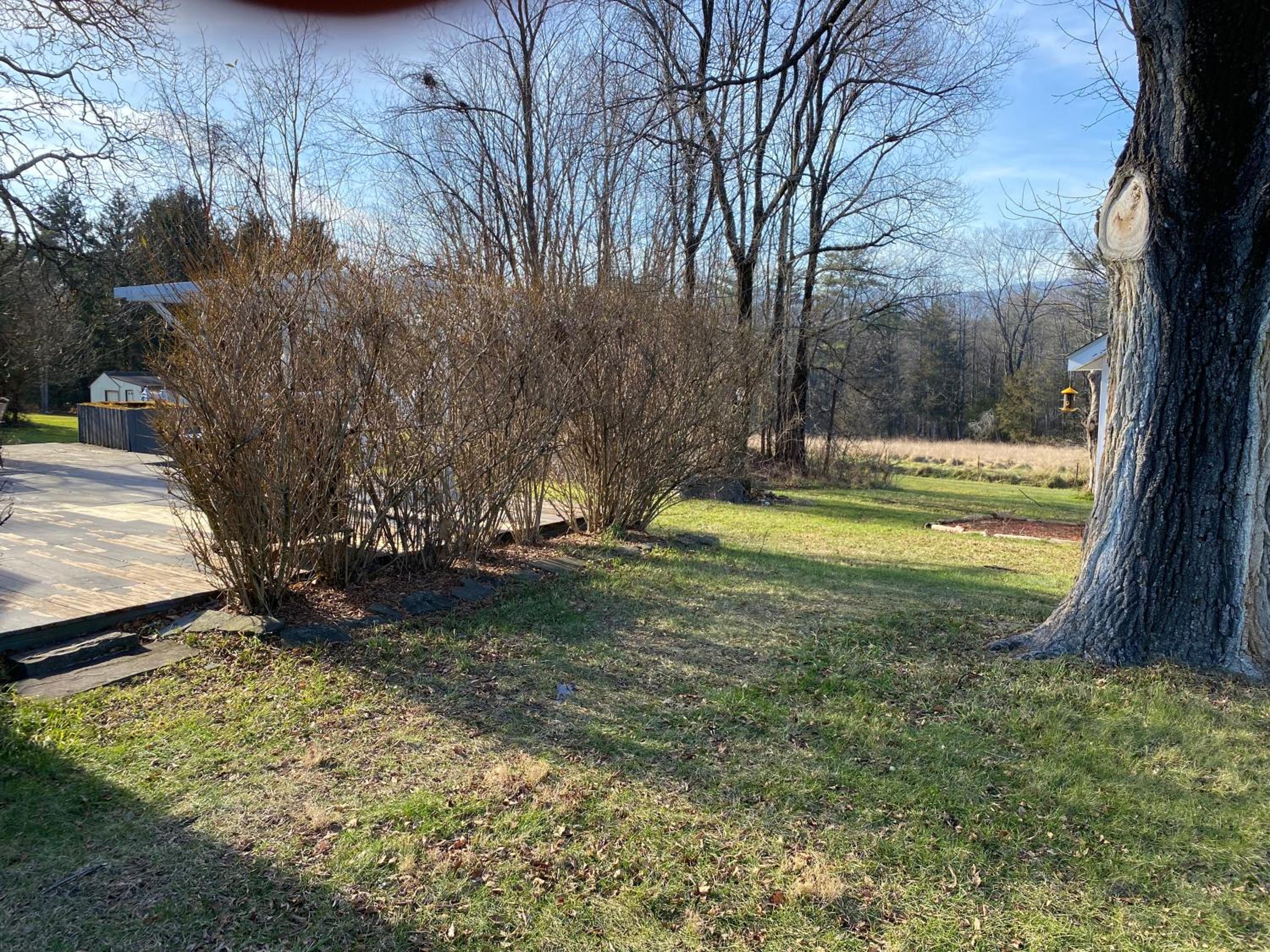 Country House in Catskills view 2