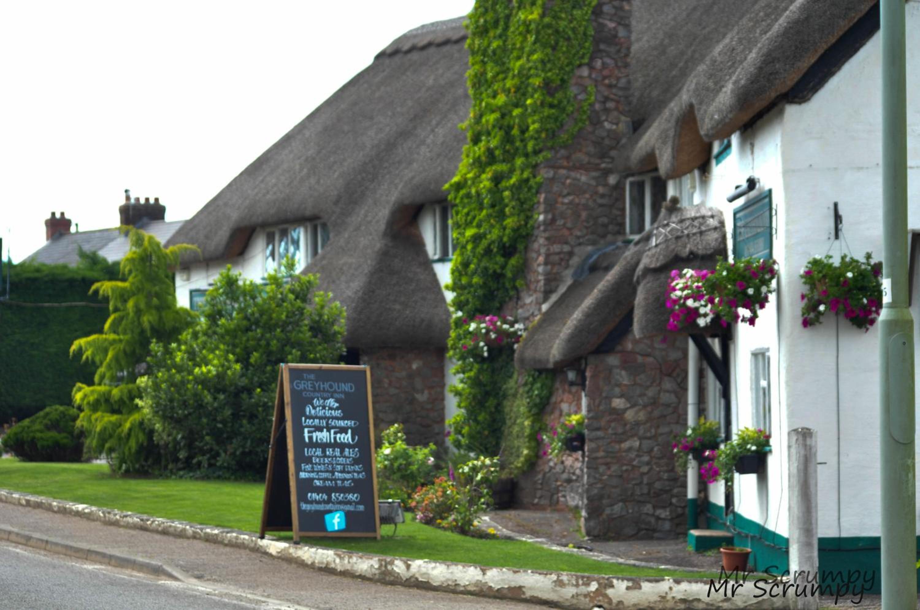 Greyhound Country Inn