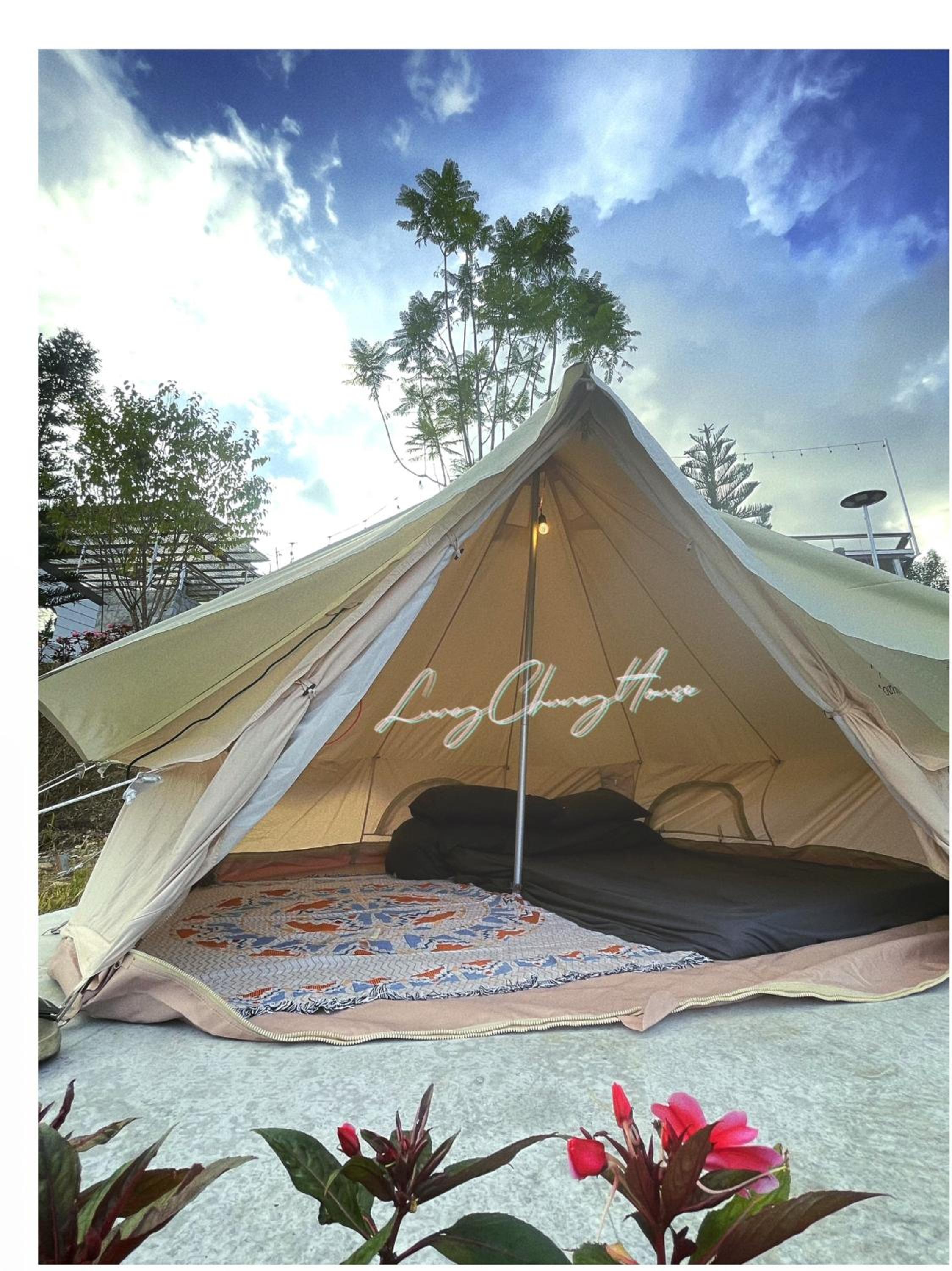 Photo 103