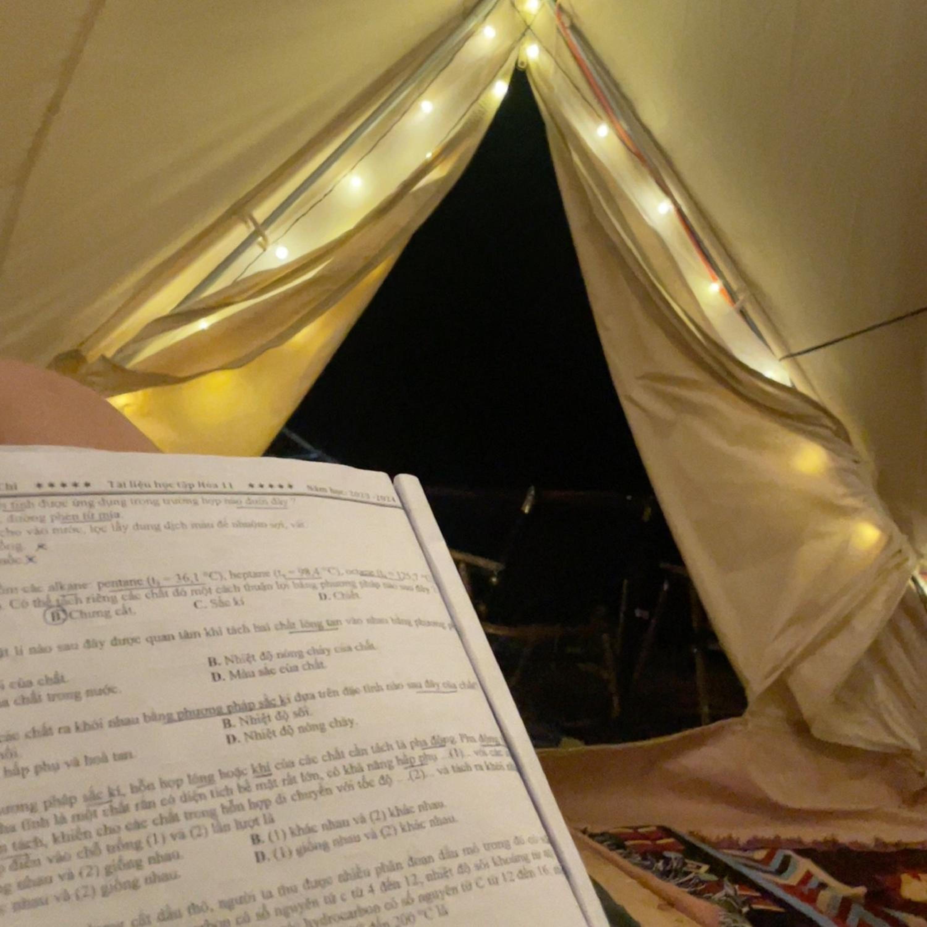Photo 49