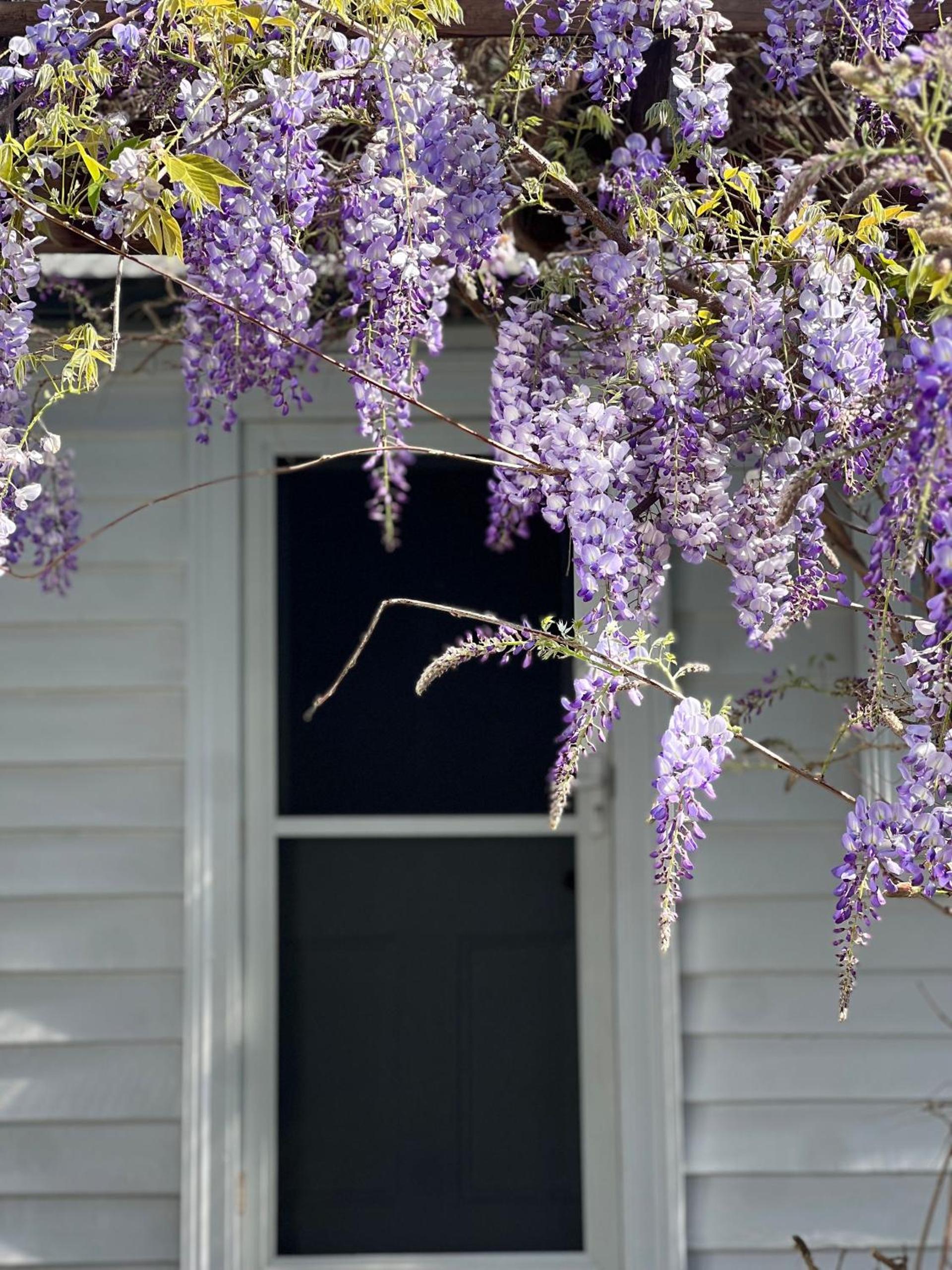 Boat Harbour Store Cottage